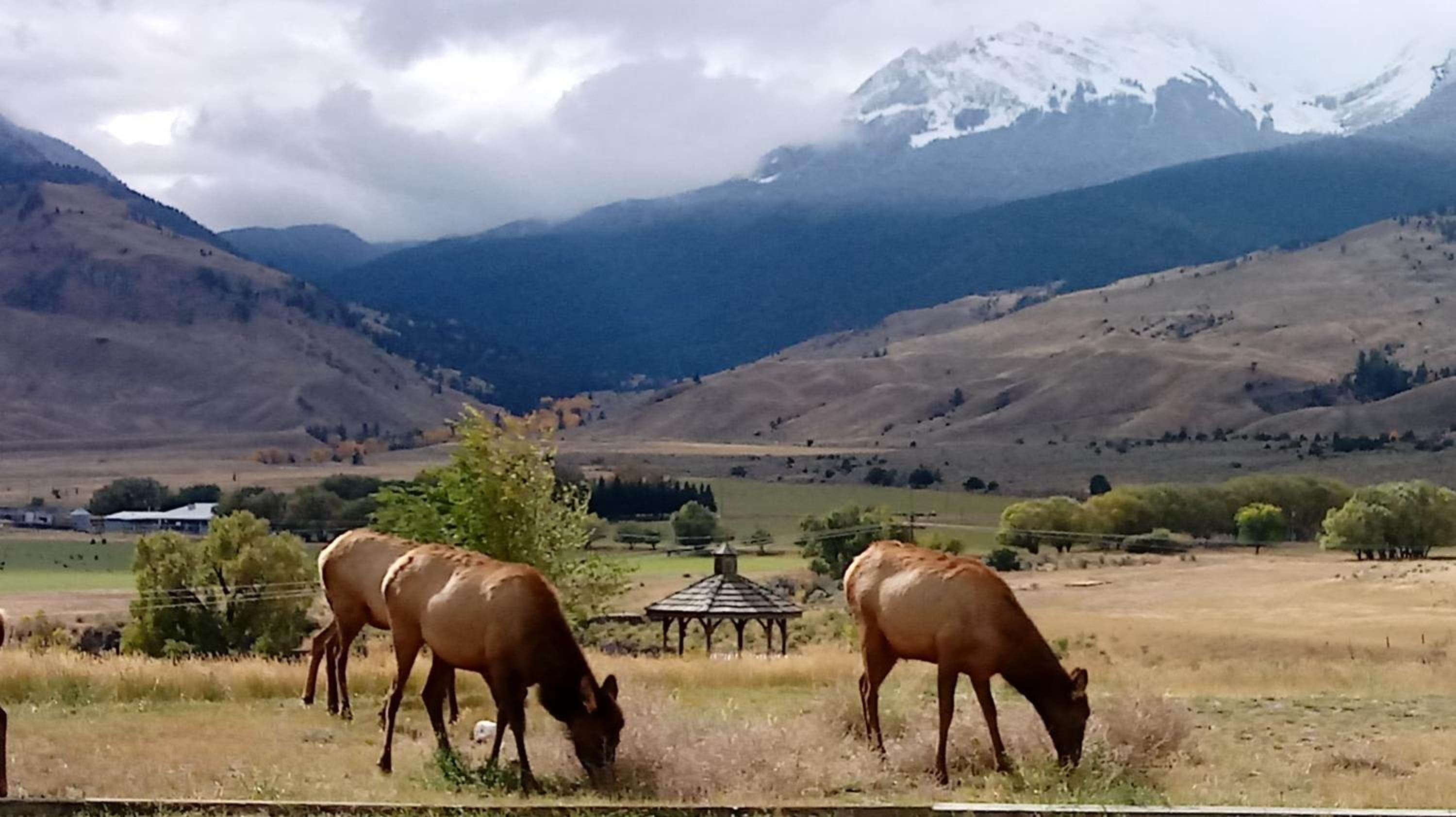 Yellowstone Basin Inn