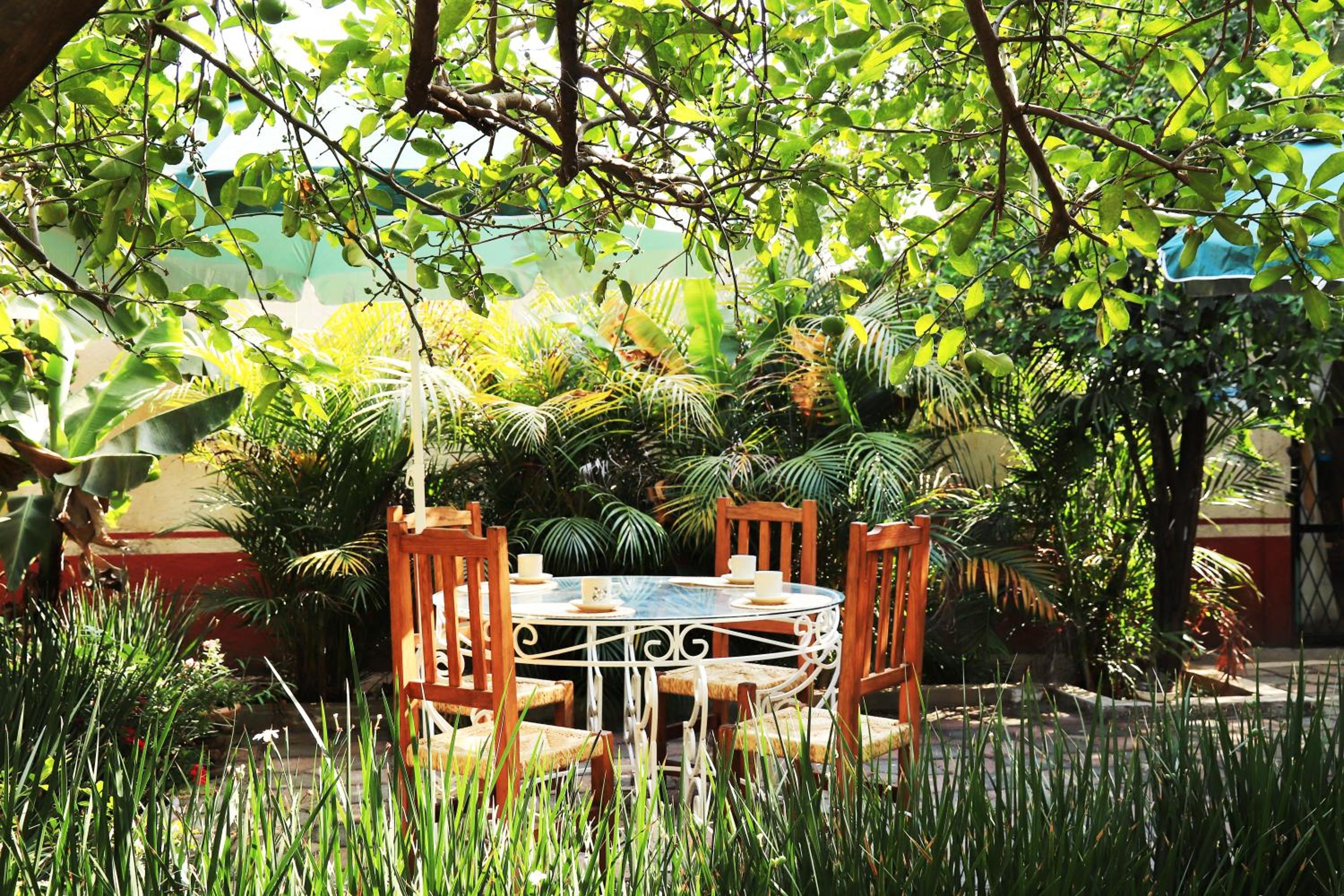 Hotel Casa Pomarrosa - Property Image 9