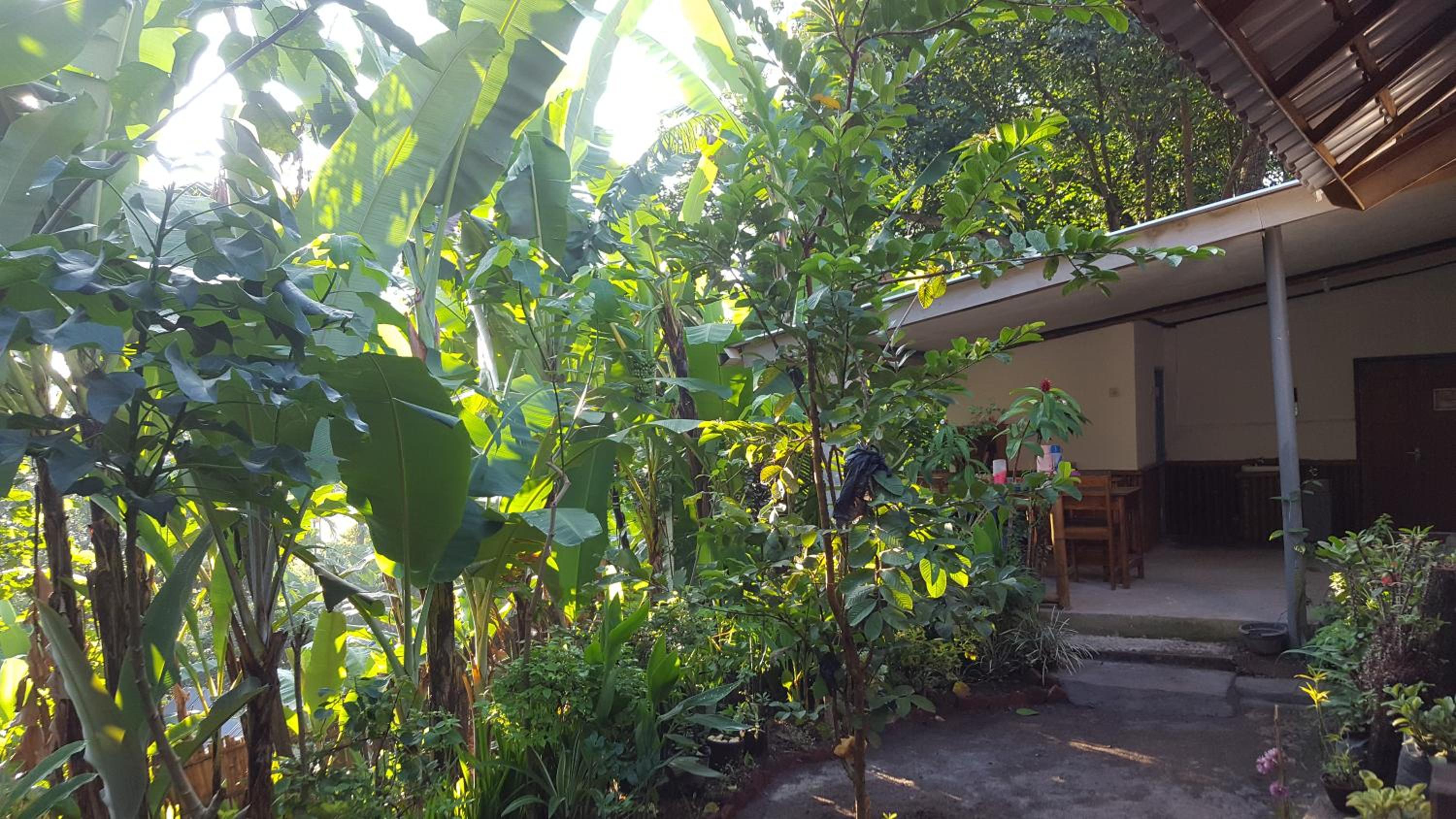 Tetebatu Indah Homestay