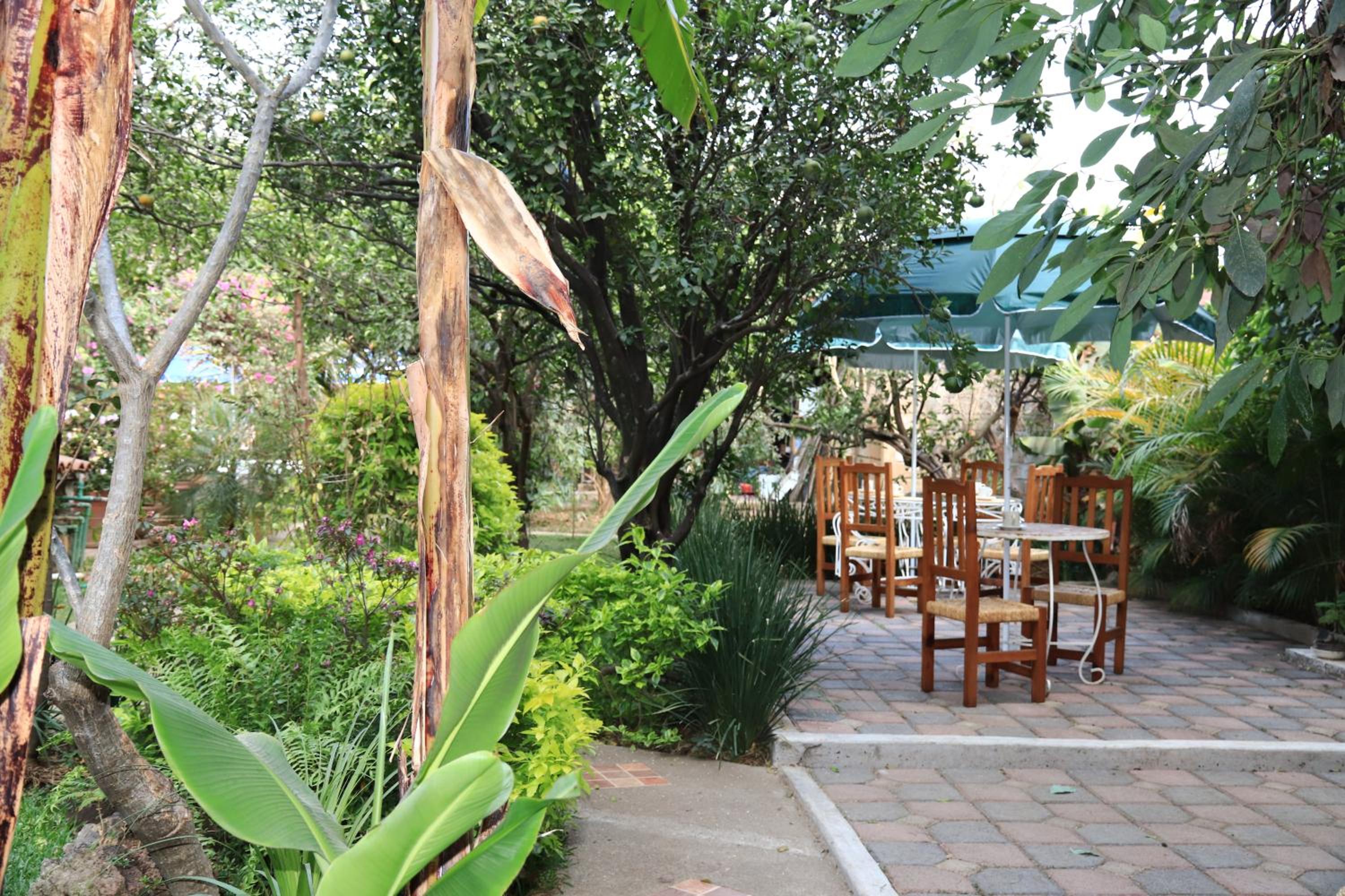 Hotel Casa Pomarrosa - Property Image 45