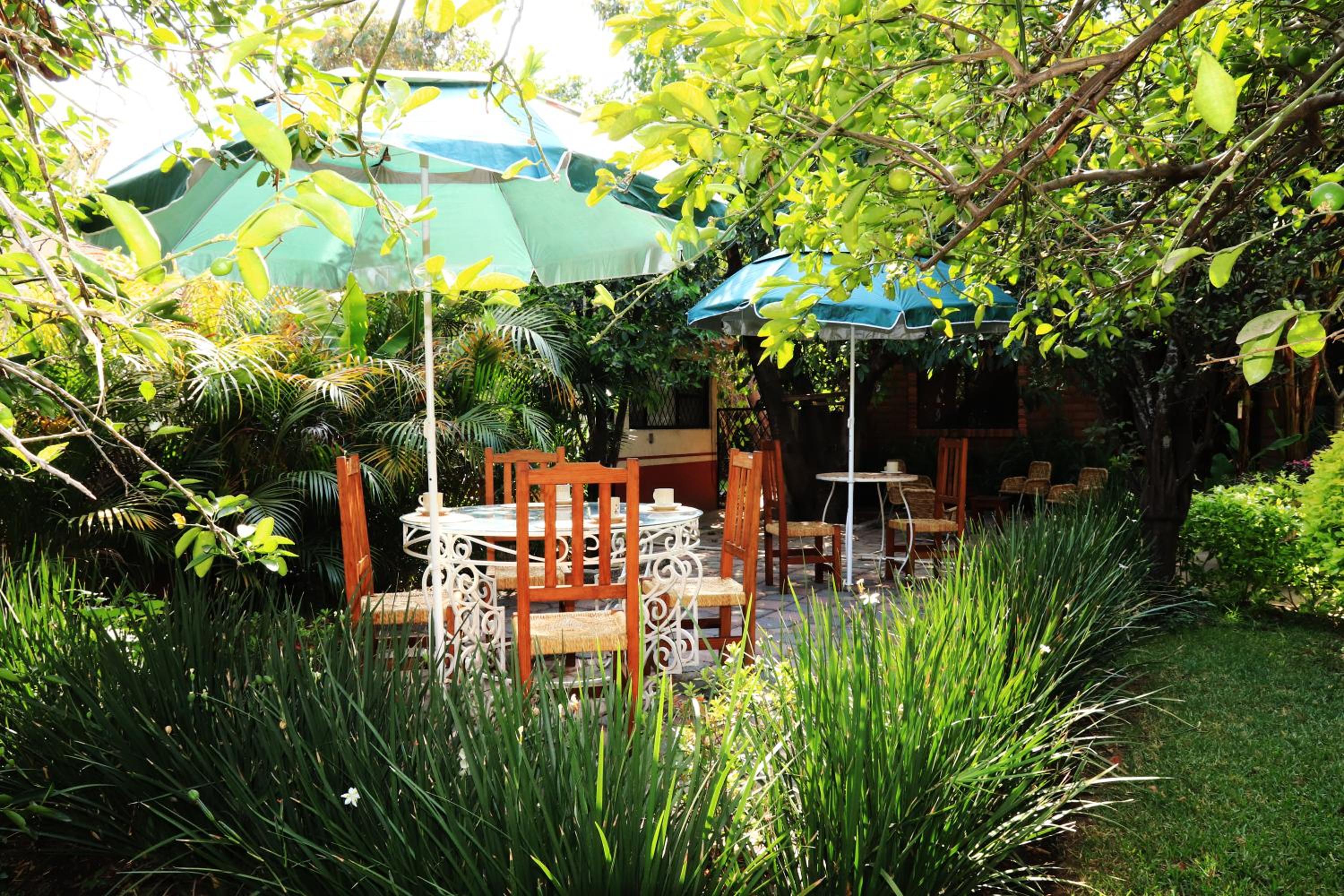 Hotel Casa Pomarrosa - Property Image 13