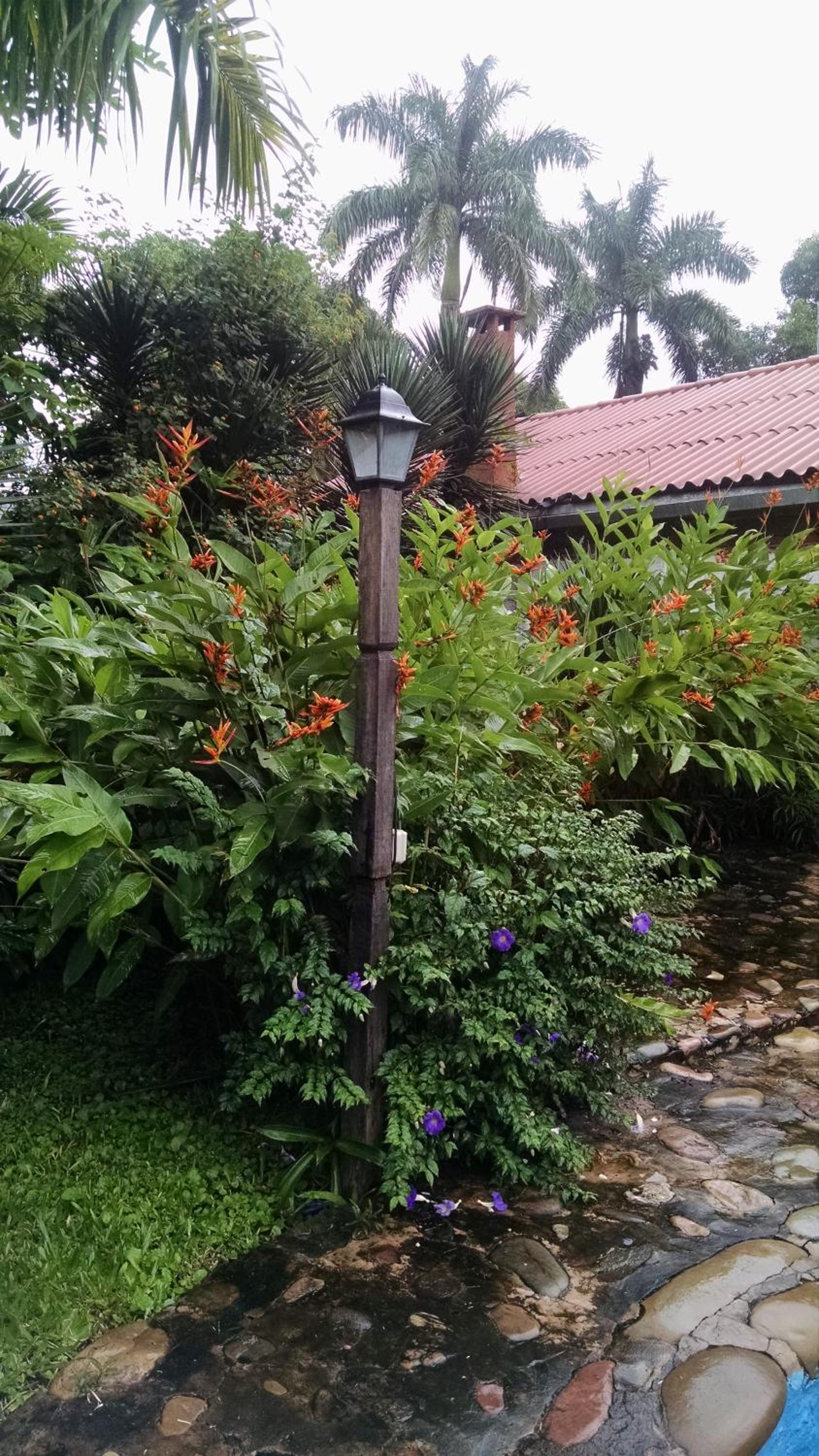 El Jardin Colonial