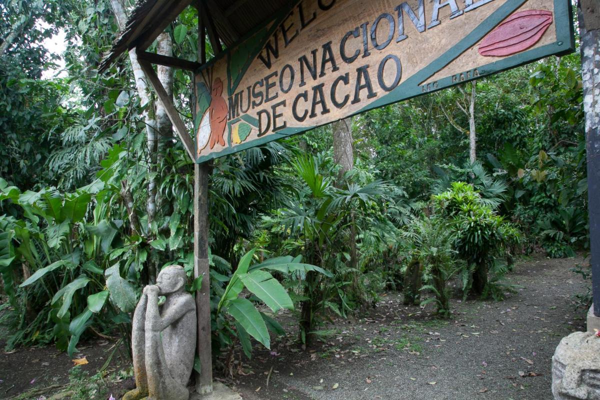 Casa Cerise Beachfront