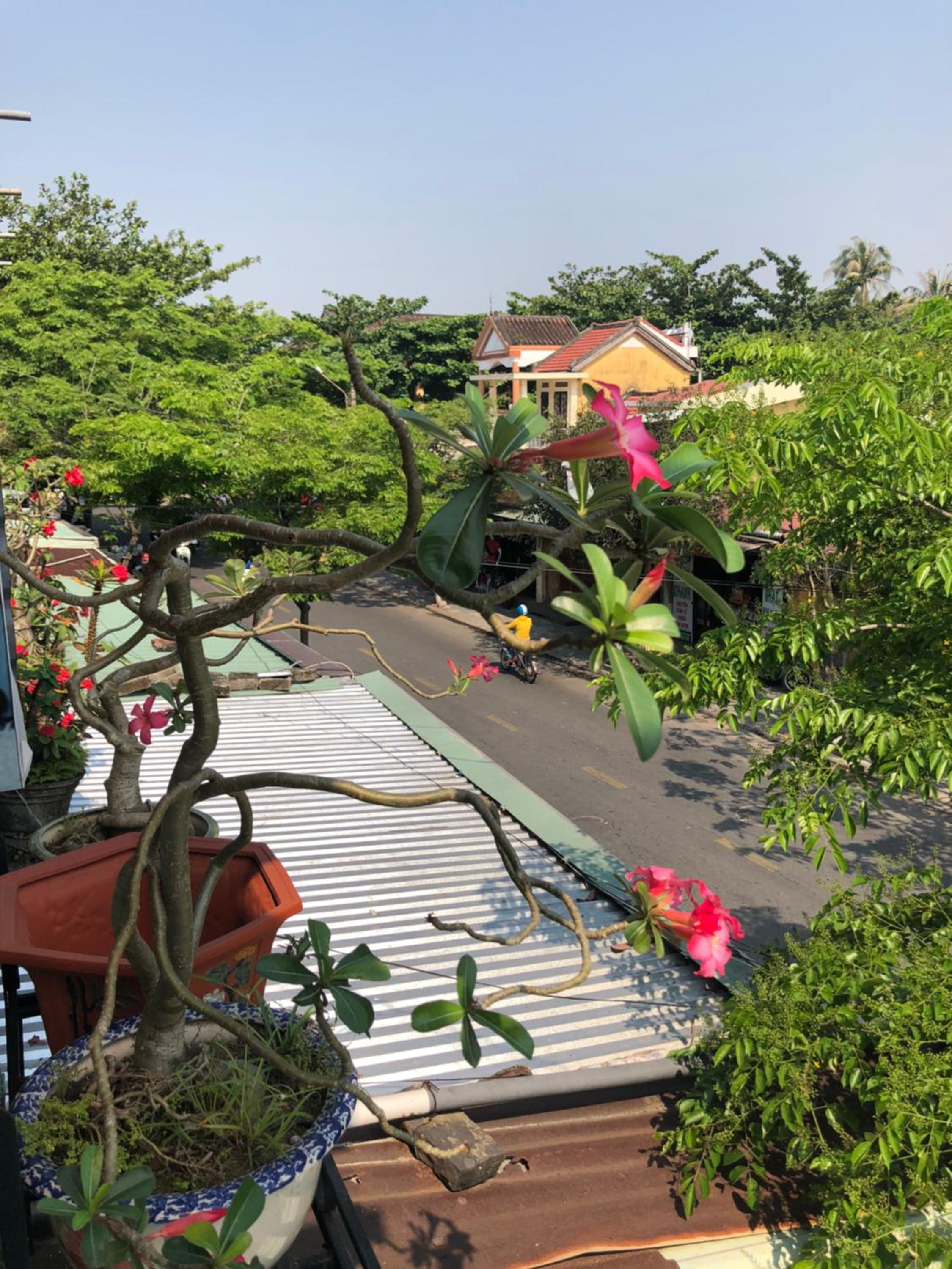 Nha Lan Homestay