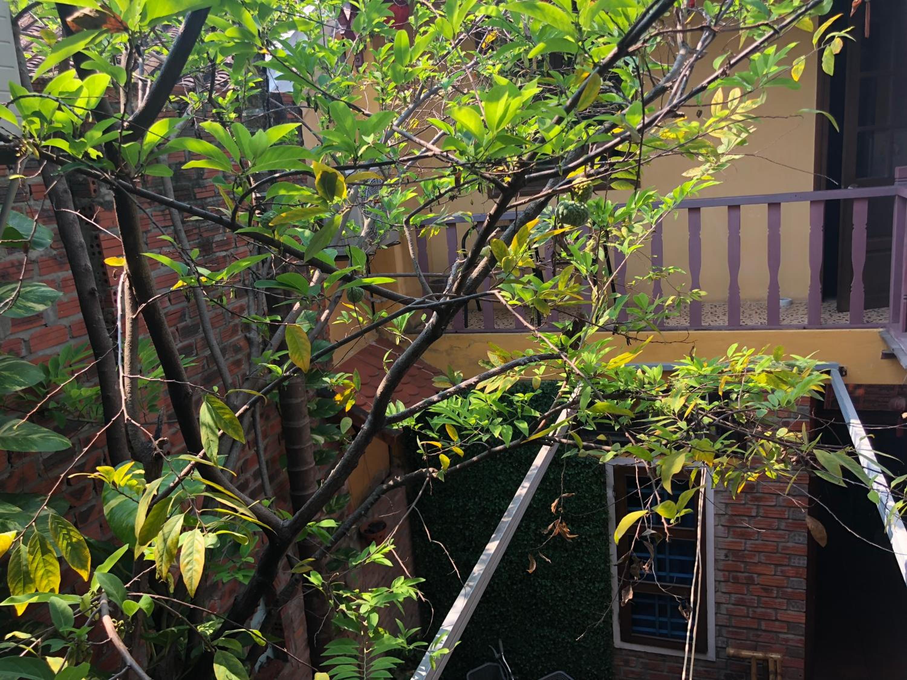 Nha Lan Homestay