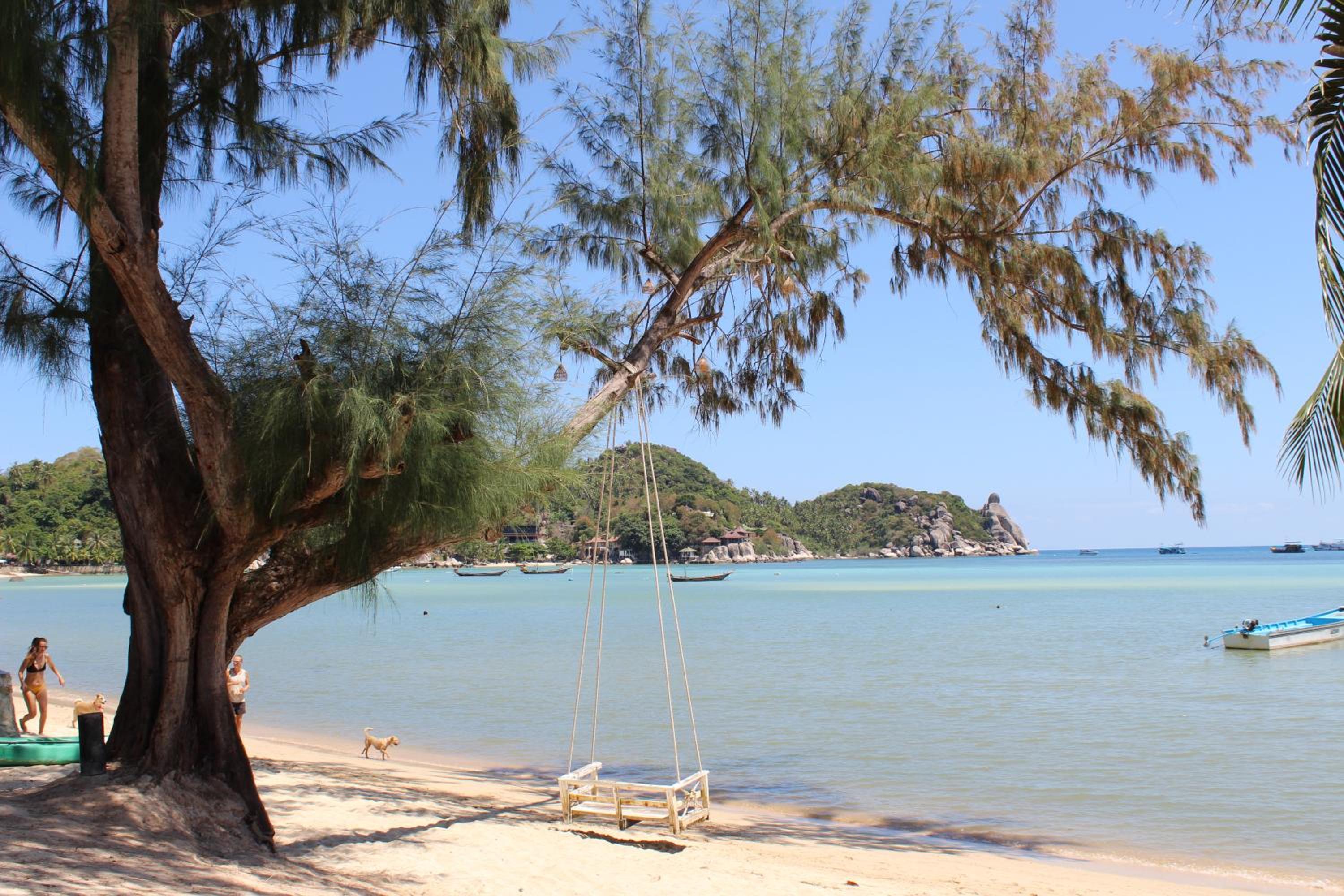 Assava Dive Resort - SHA Plus