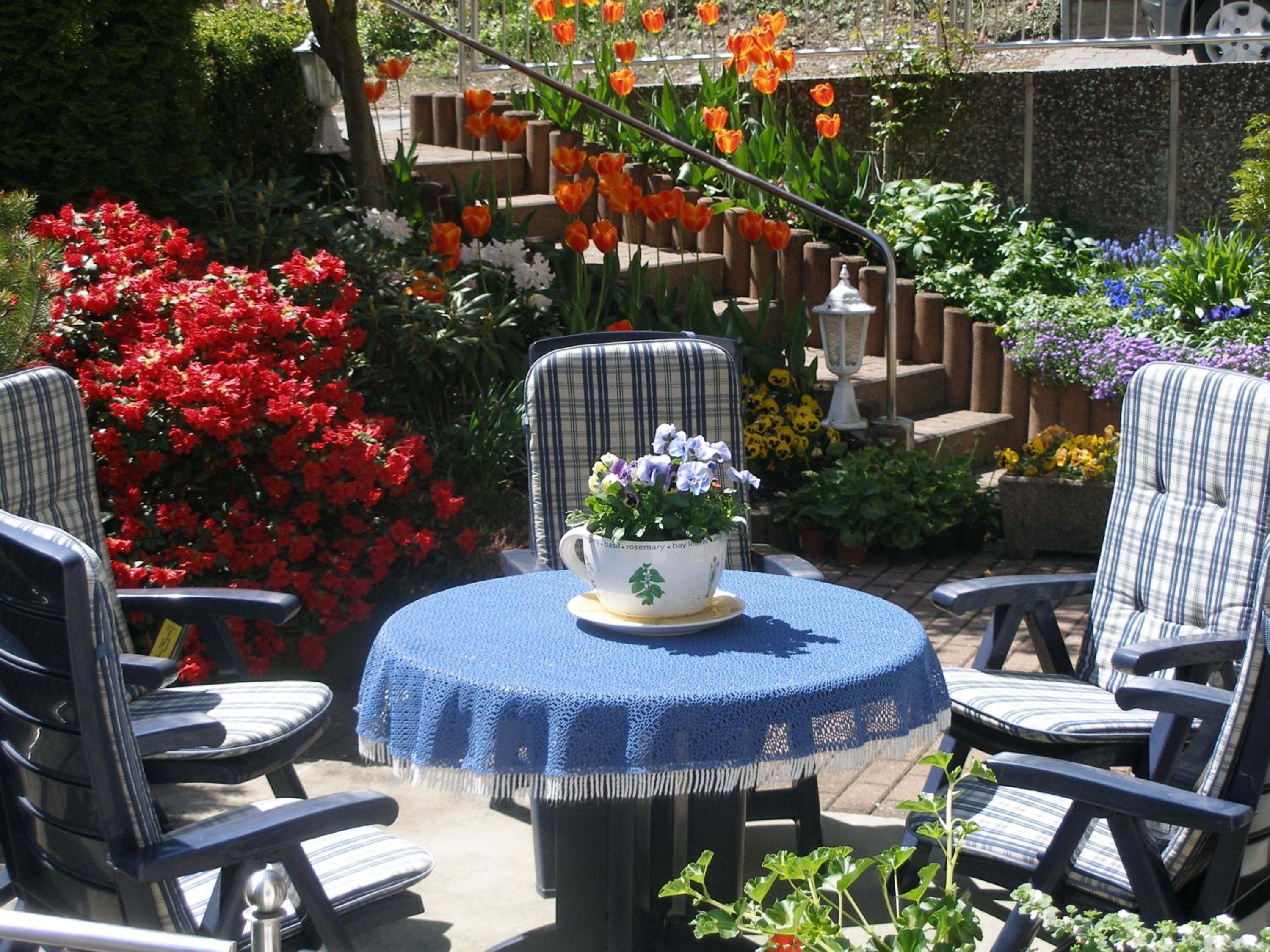 Pension Haus Waldfrieden, MeineCardPlus inklusive