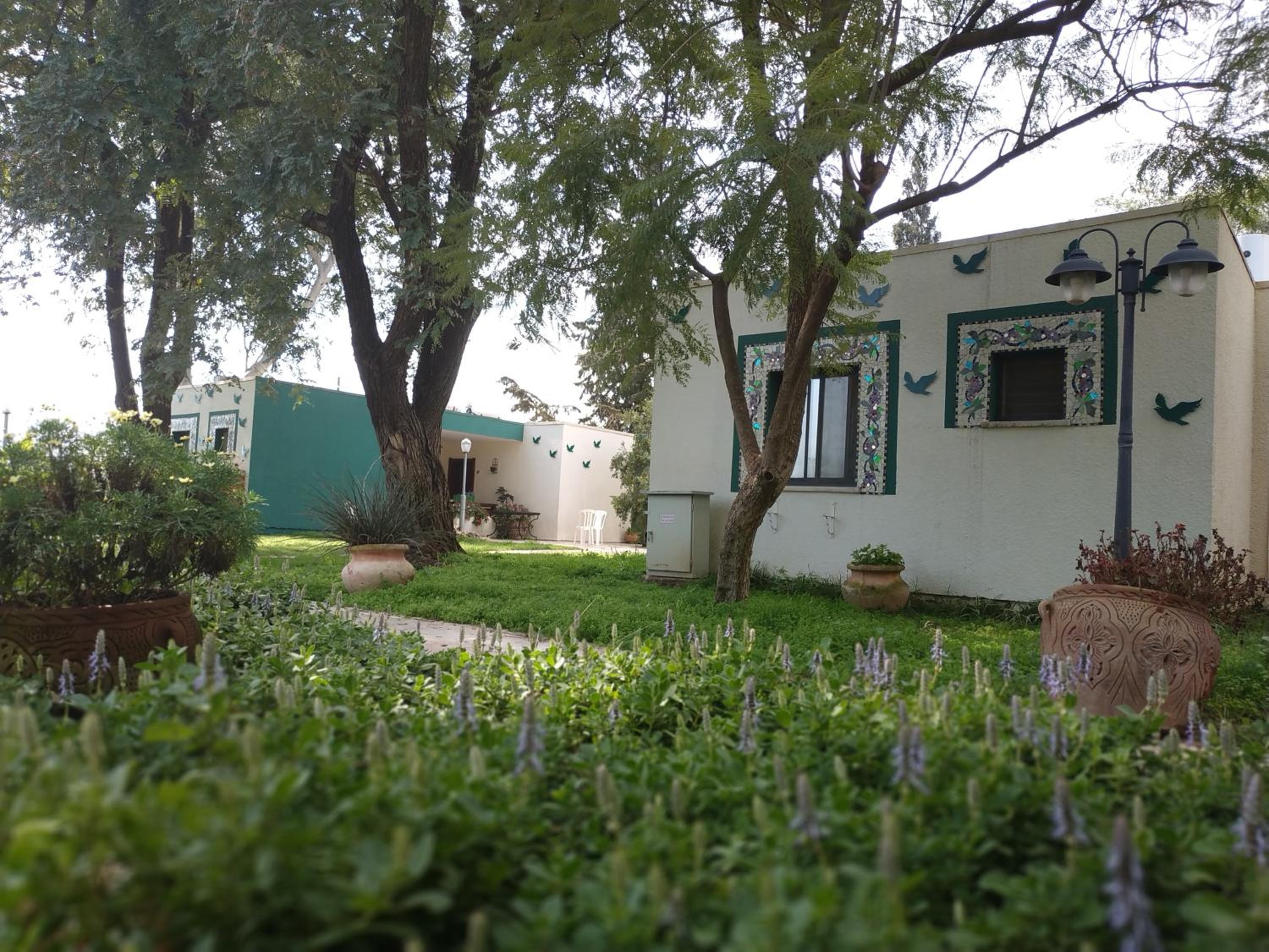 garden