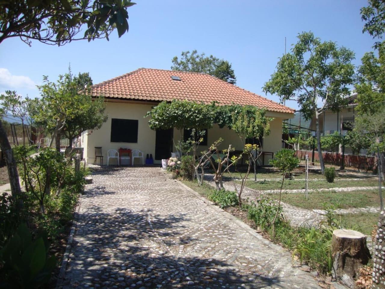 Photo 36