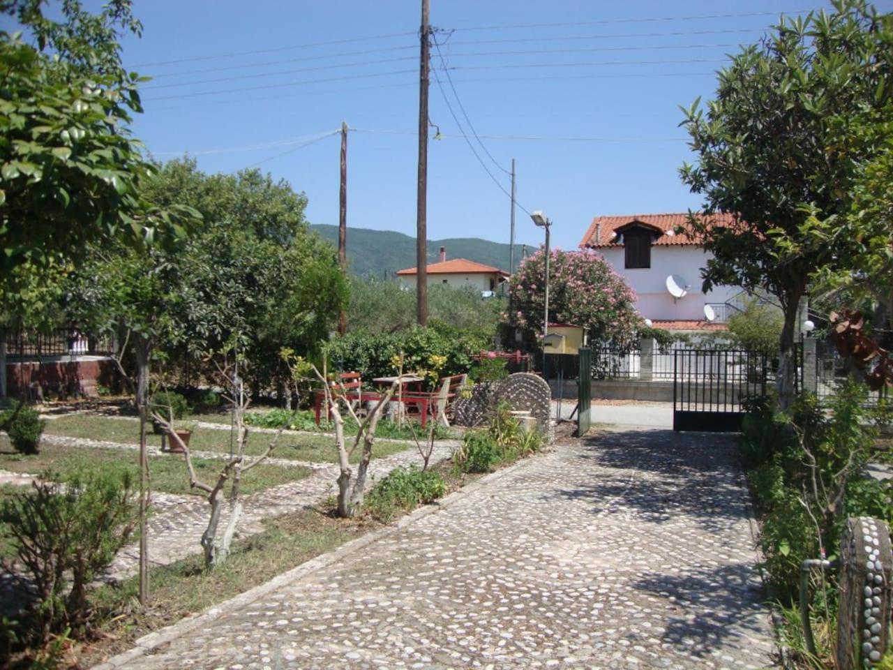 Photo 41