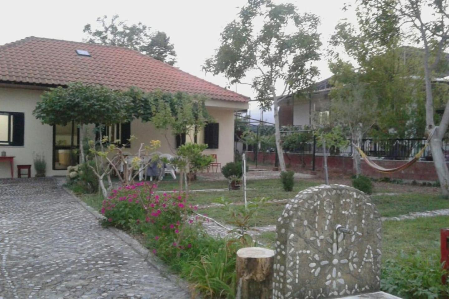 Photo 39