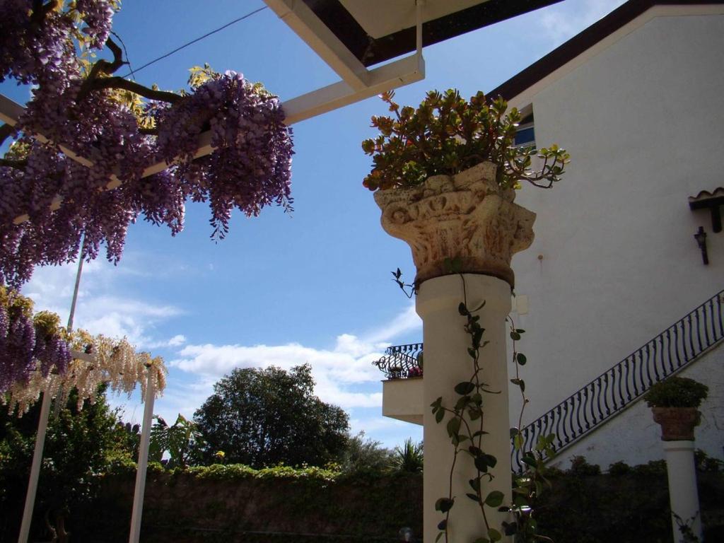 Casa Vacanze Villa Angelina view 3