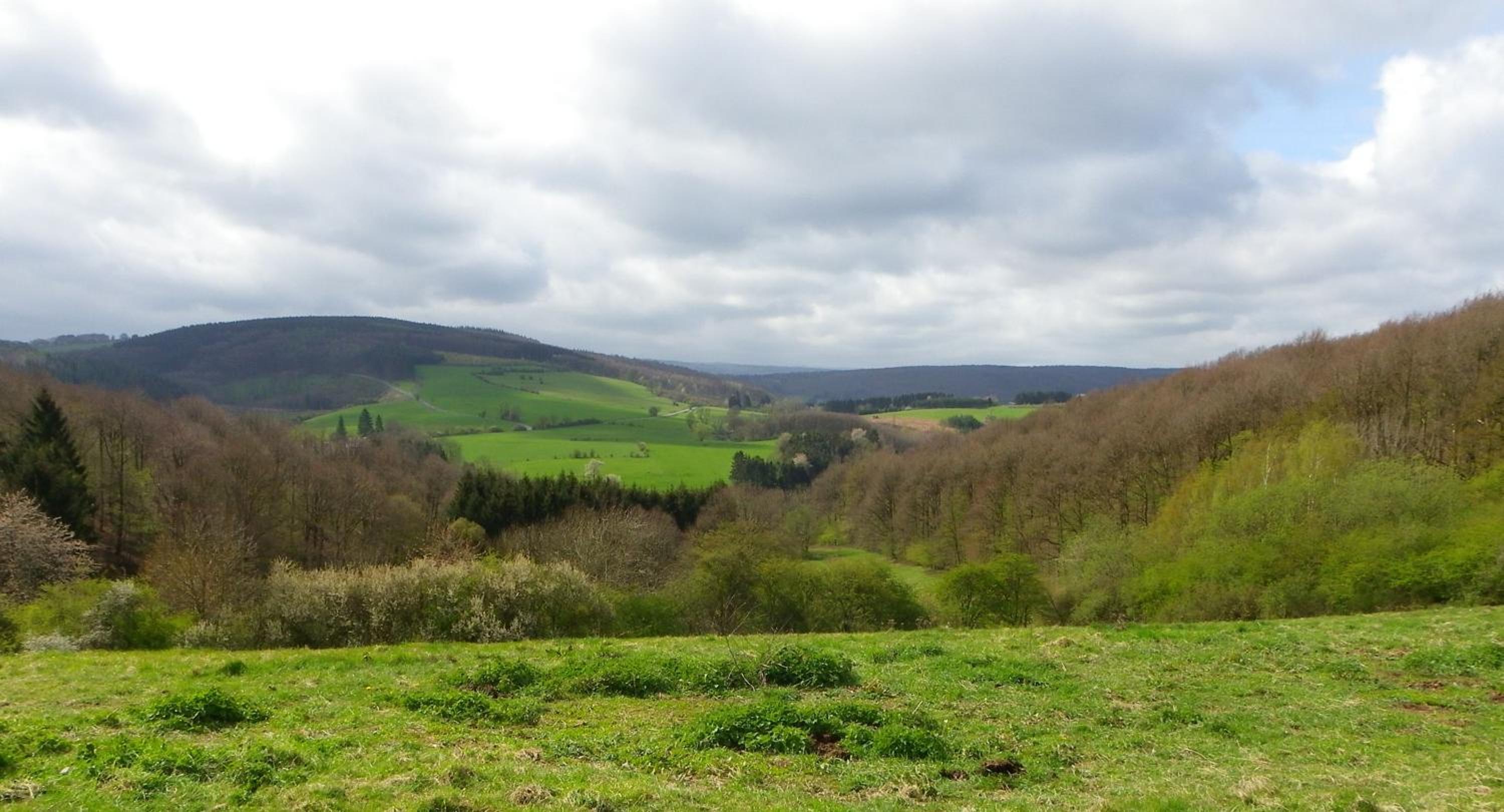 B&B Au Bord De La Source