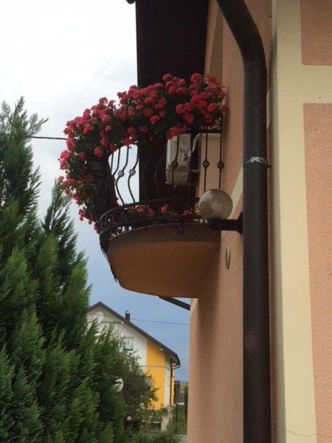 Hotel Apartman Hubertus 5