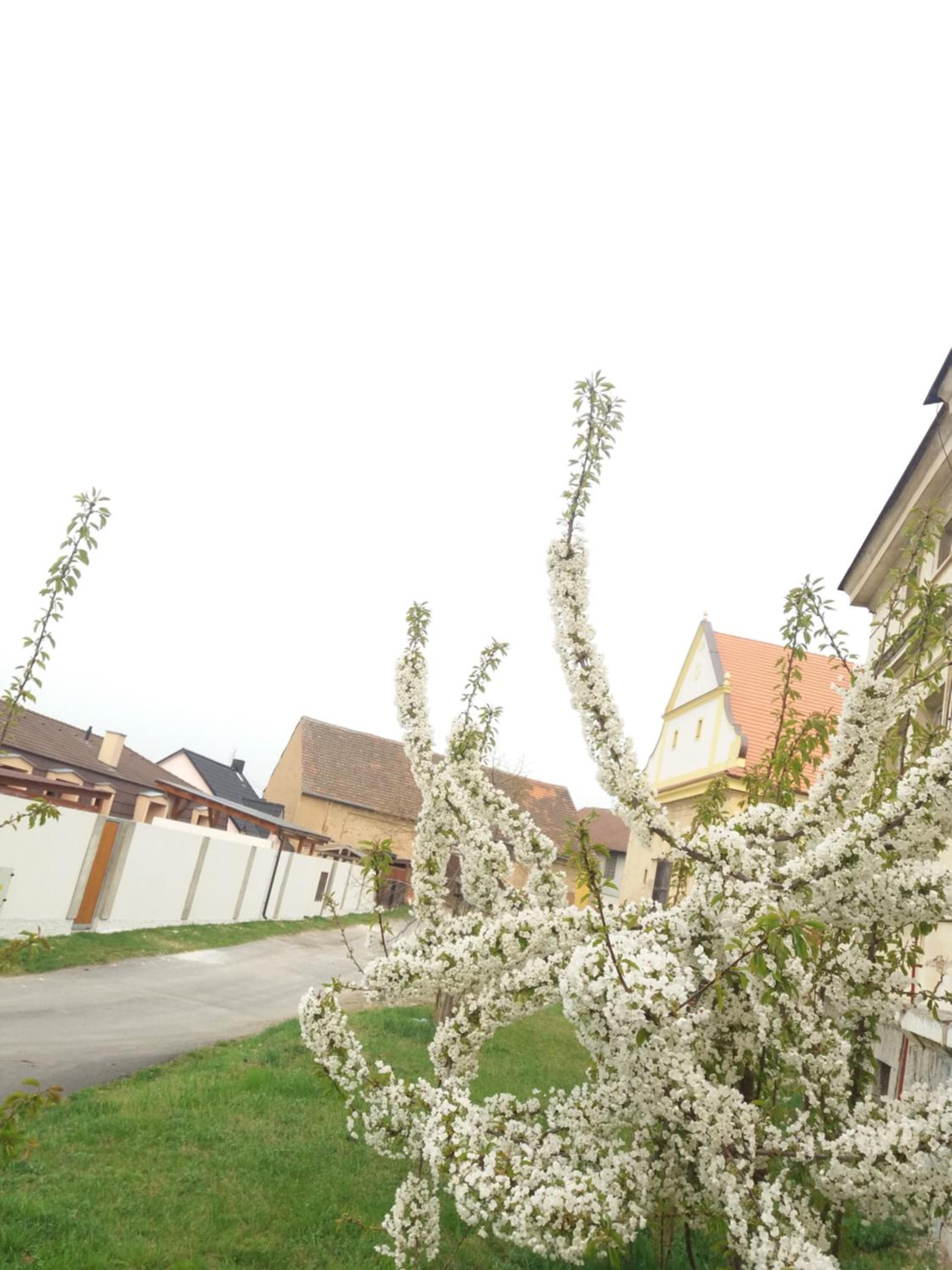 Apartmány na Vršku
