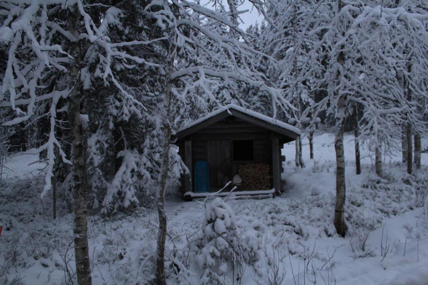 Photo 40