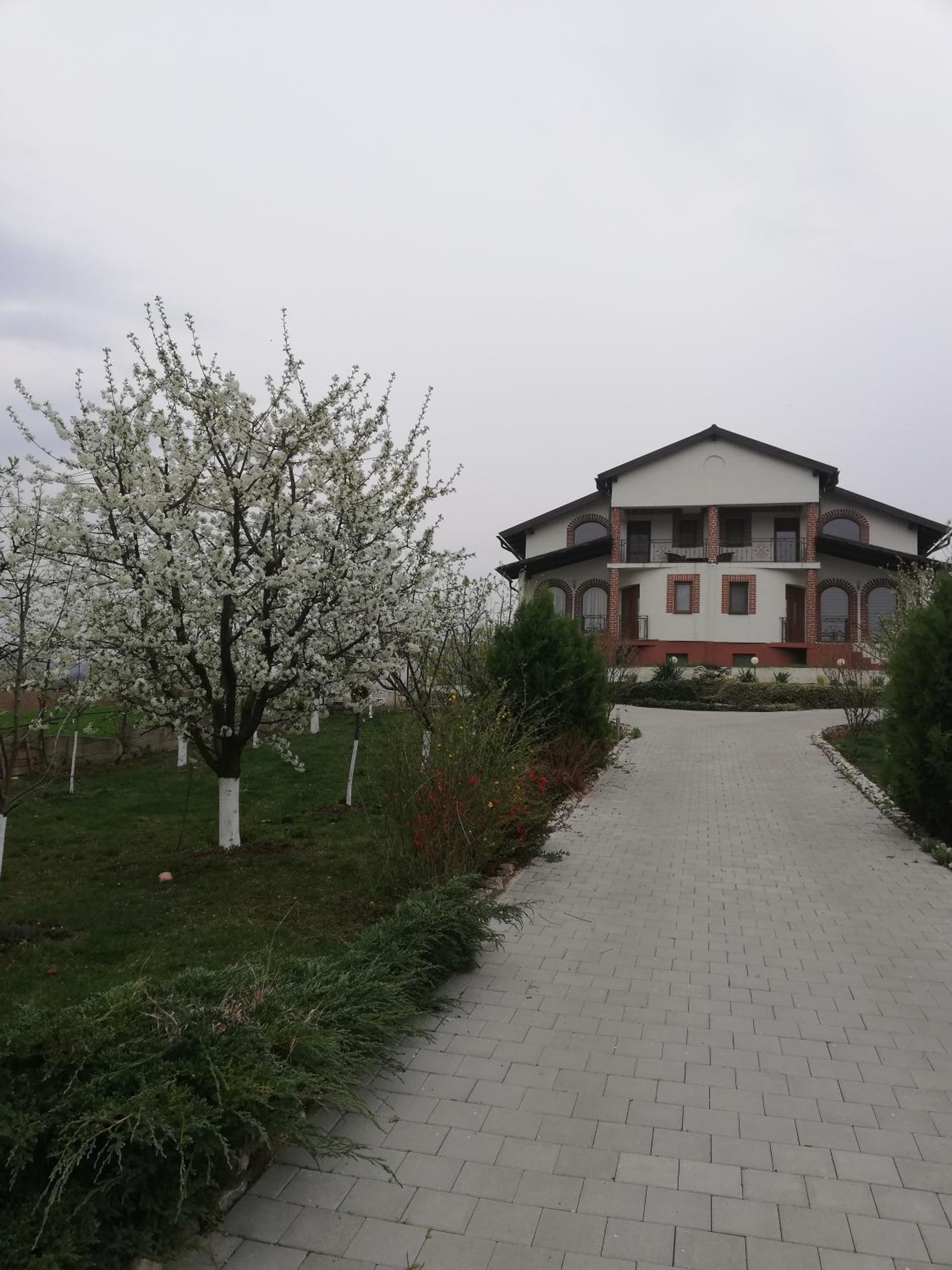 Casa Borza