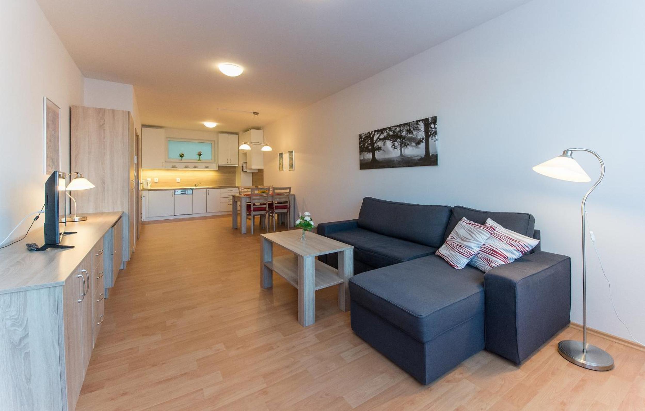 Apartmán U Lázní D22 view 3
