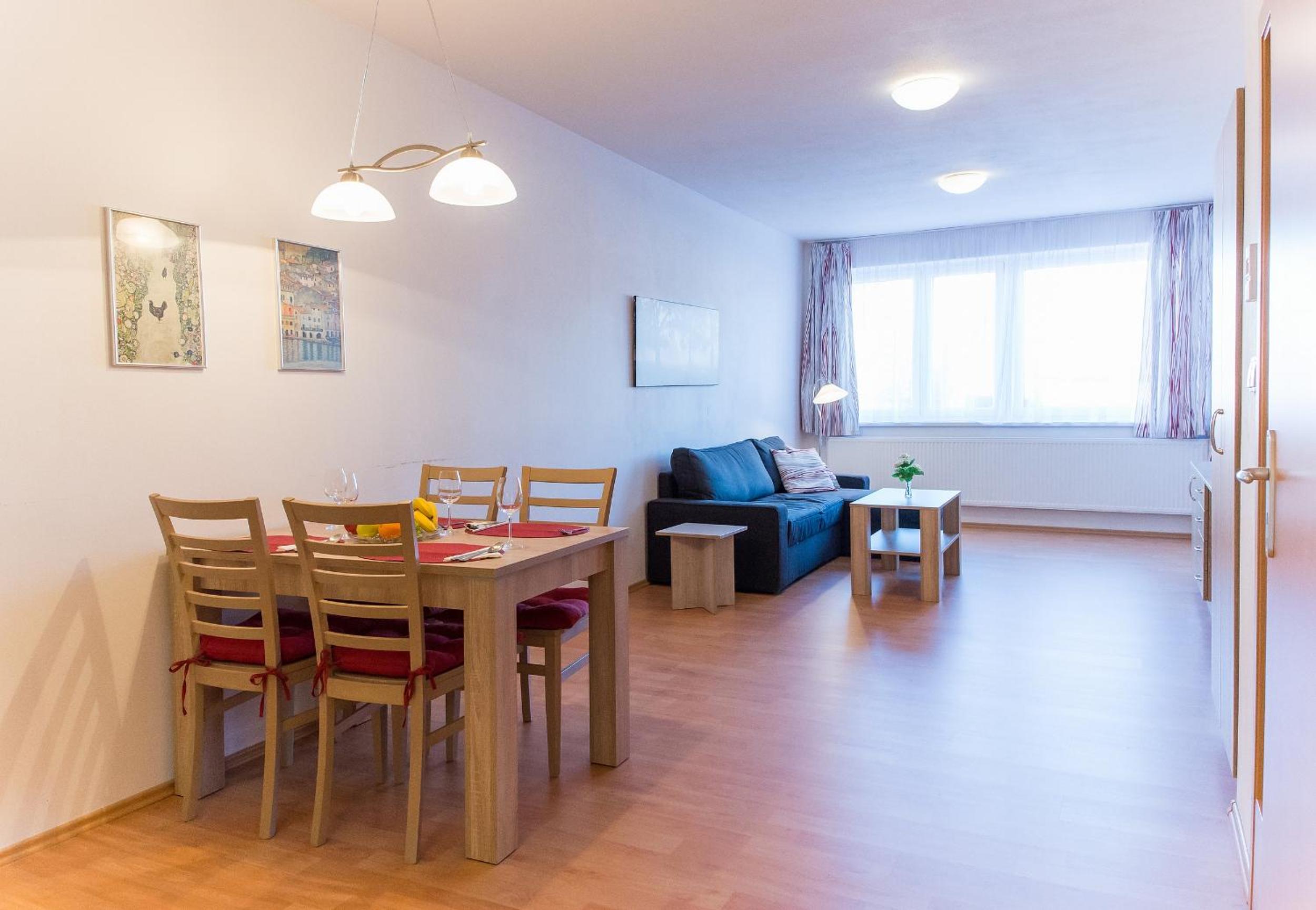 Apartmán U Lázní D22 view 5