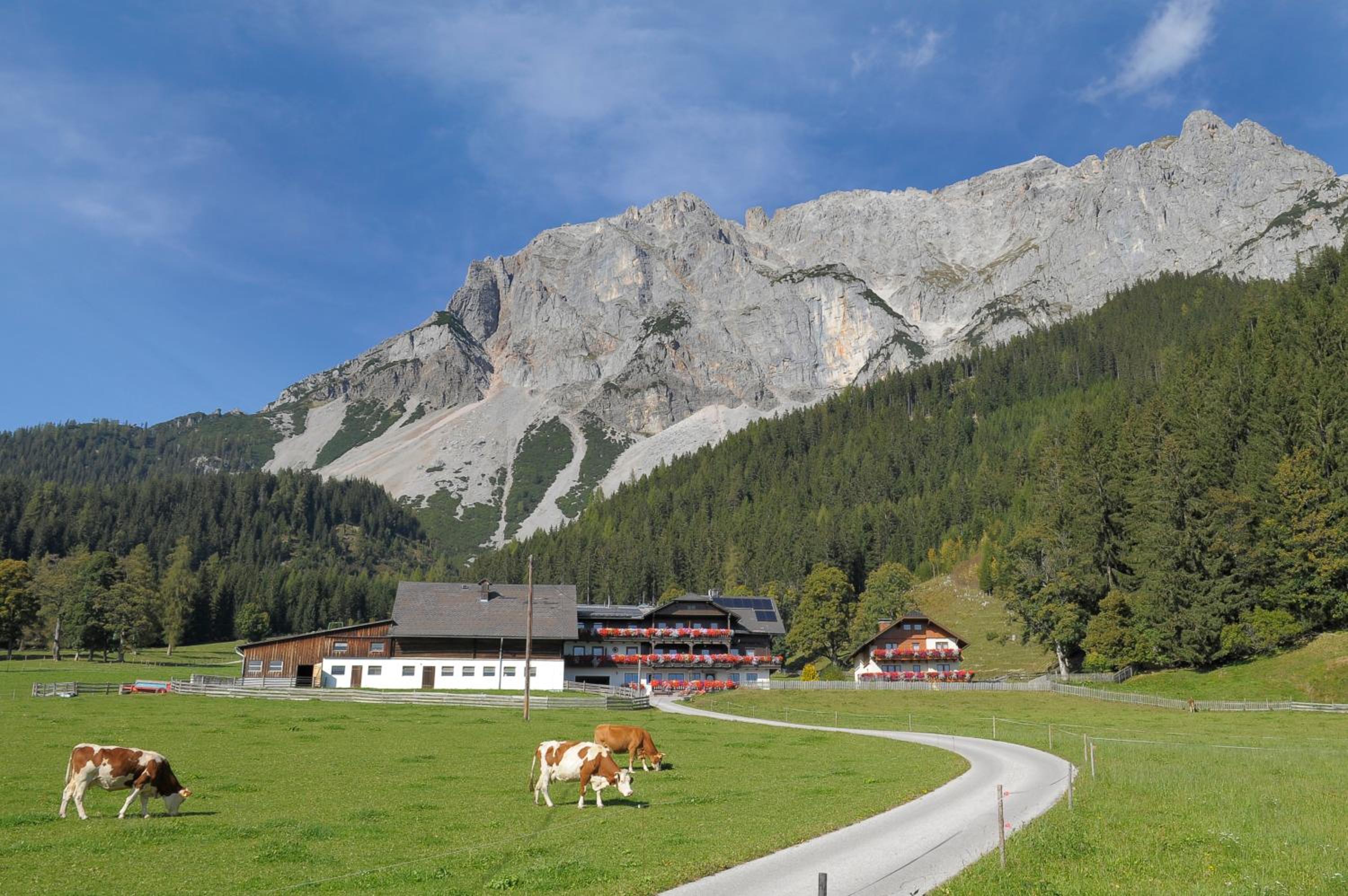 Feichtlehnerhof