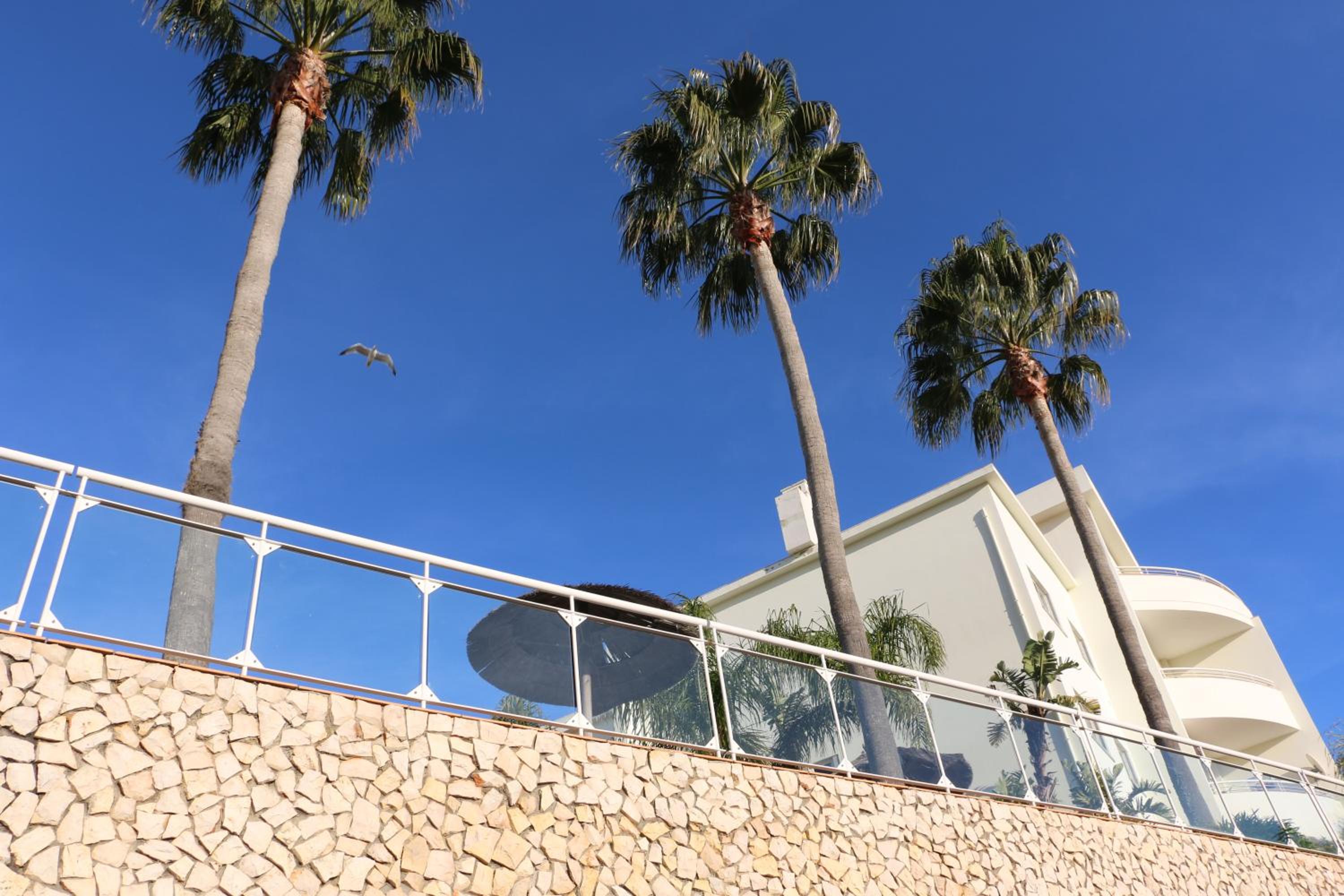 Hotel Lagos Vila Mos 59