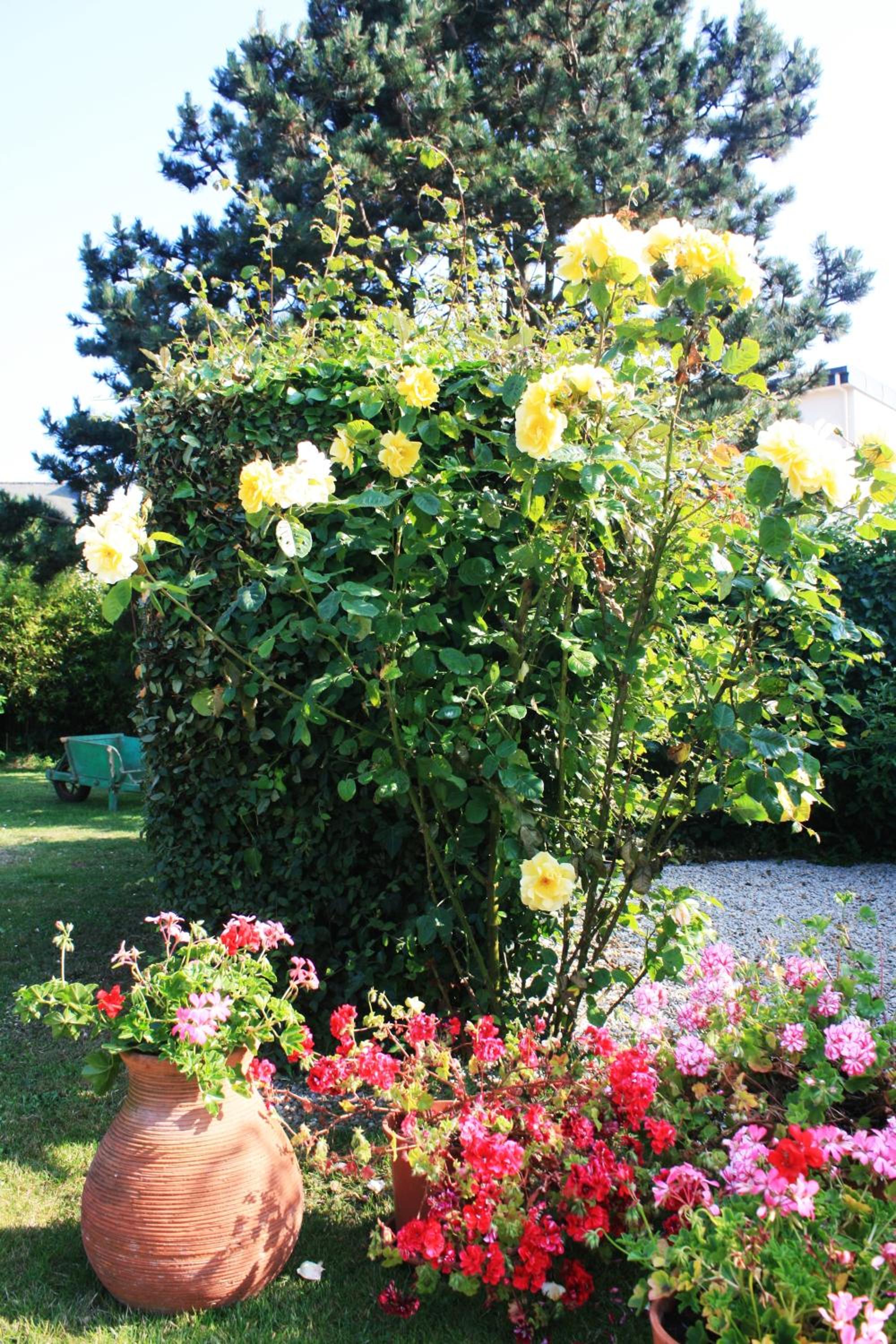 Pension de Kerioual, photo 11