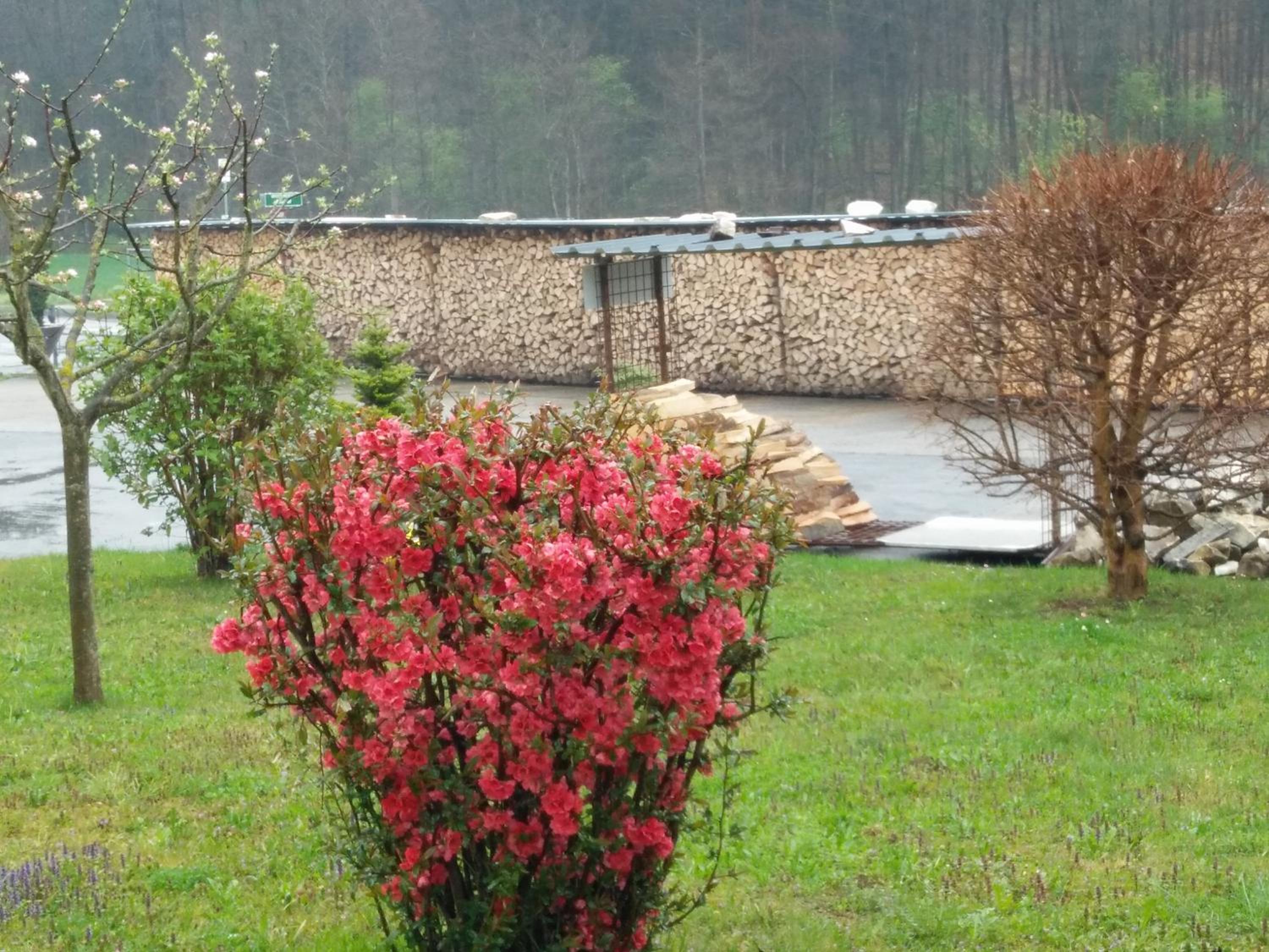 Haus Steirer am Kaiserwald