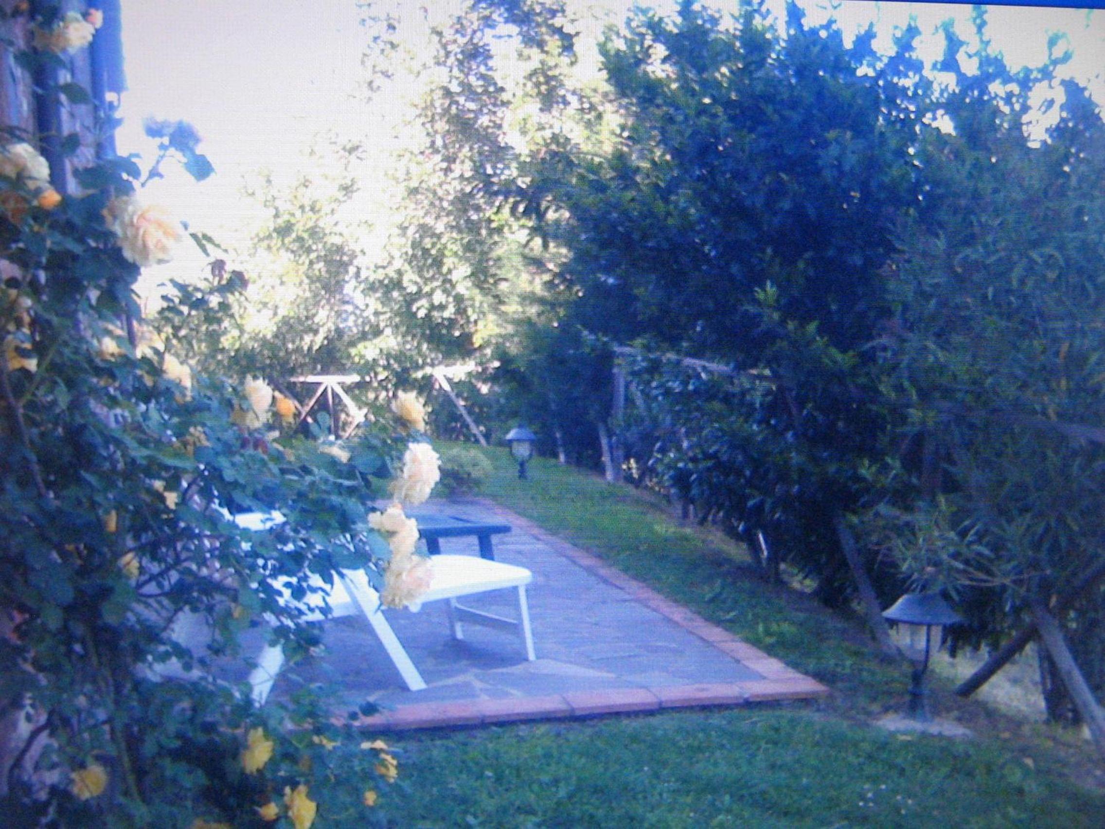 Photo 44