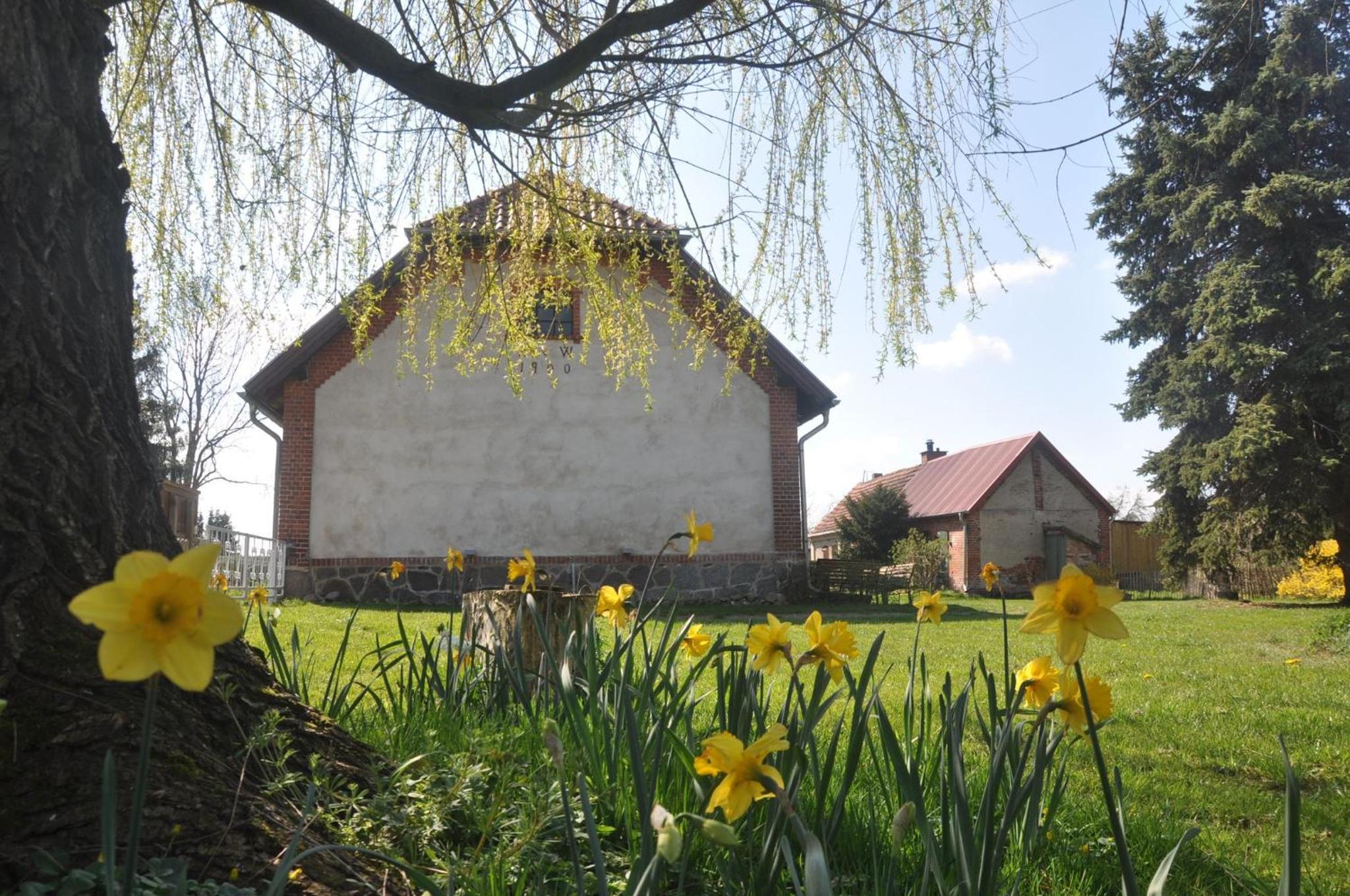 Ferienhaus Ilse-Bilse