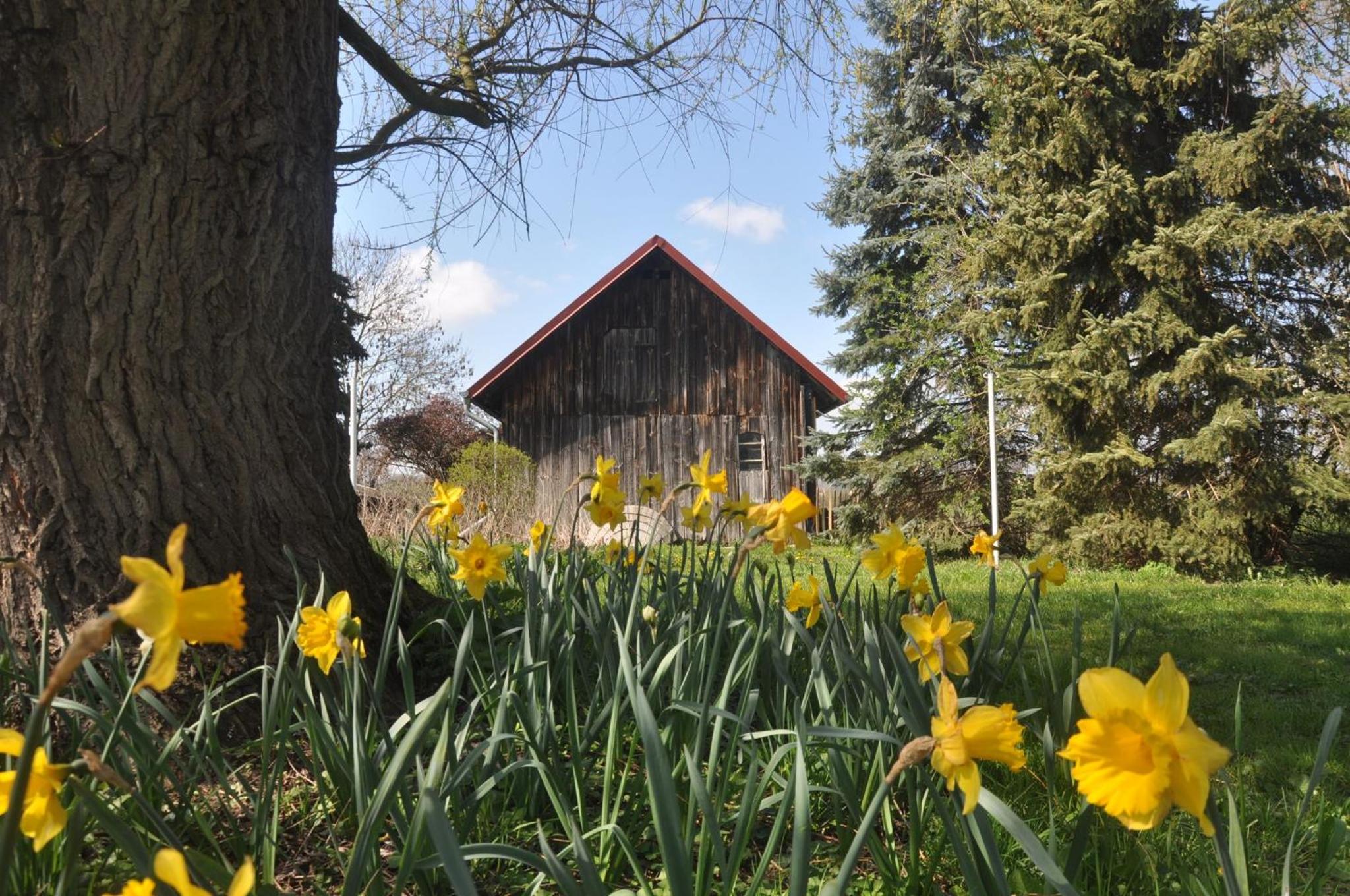 Ferienhaus Ilse-Bilse