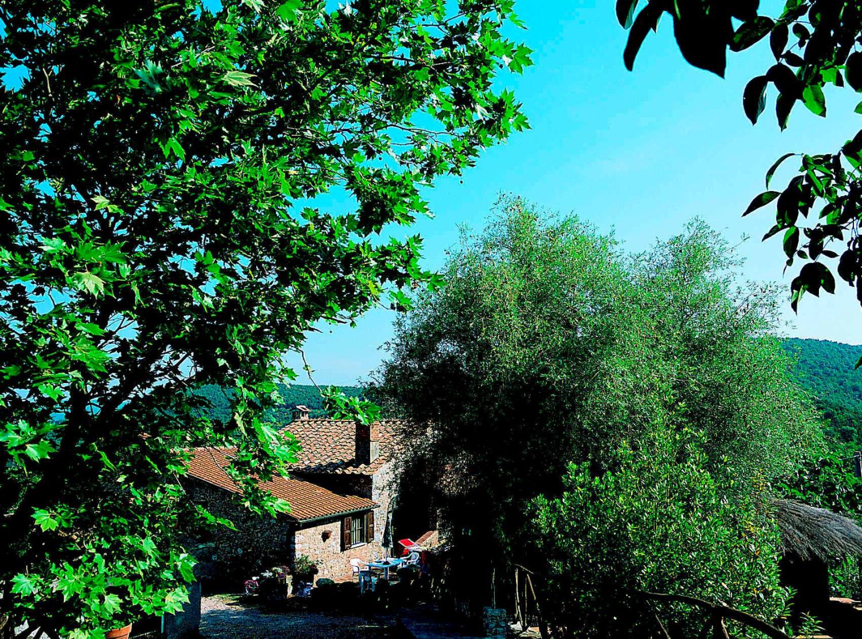 Photo 20