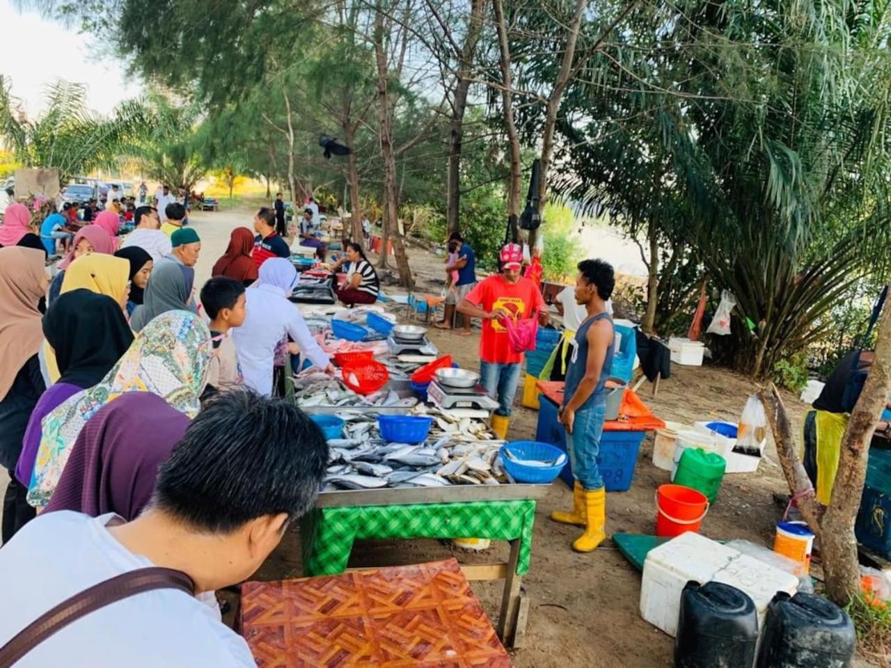 The Collector at Bayu Puteri Mid Valley 2 mins drive