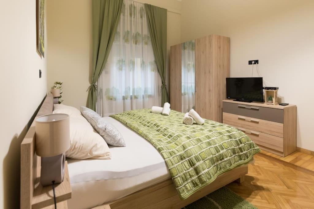 Golden Star Apartment - Spacious City Center Stay view 3