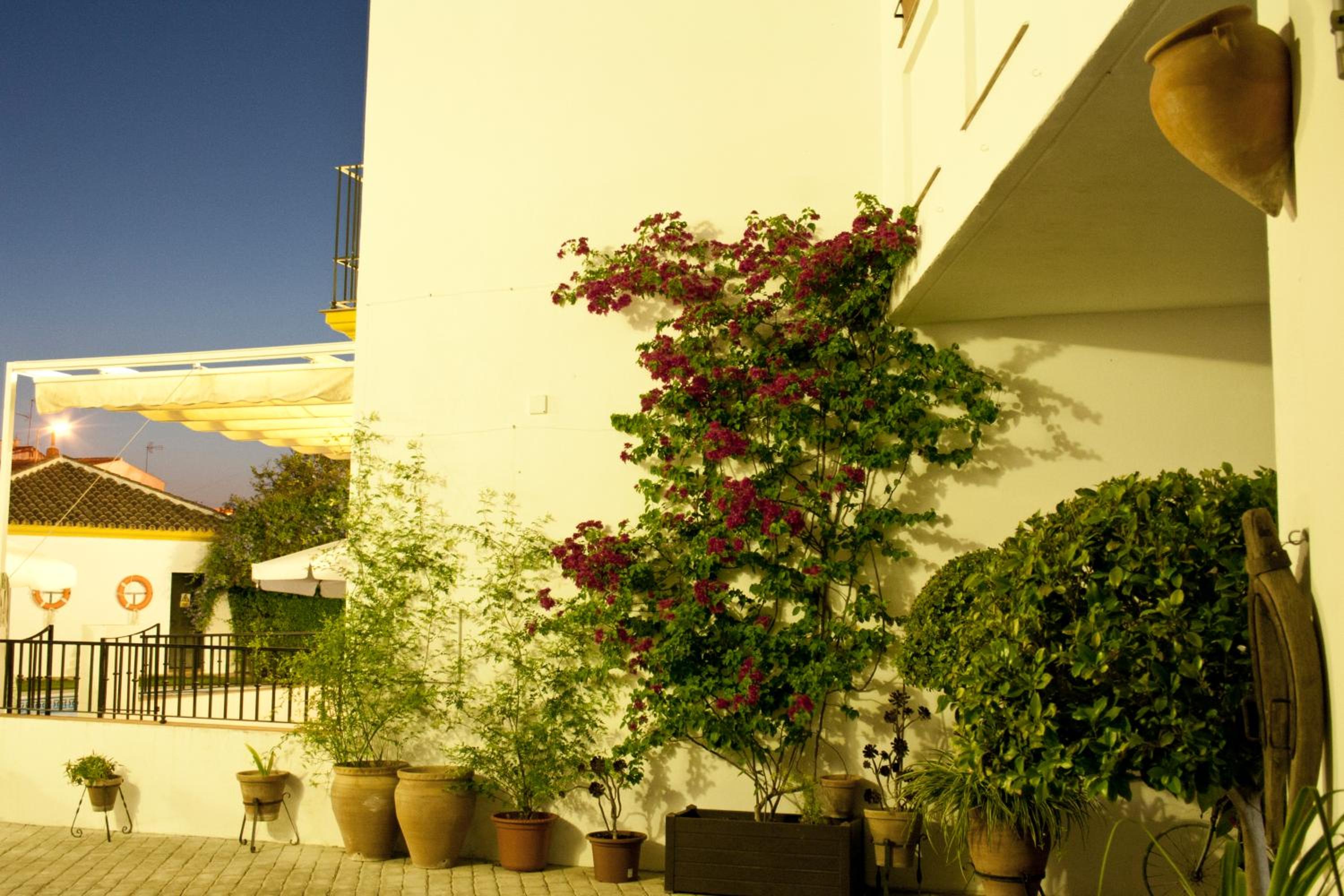 Photo 20