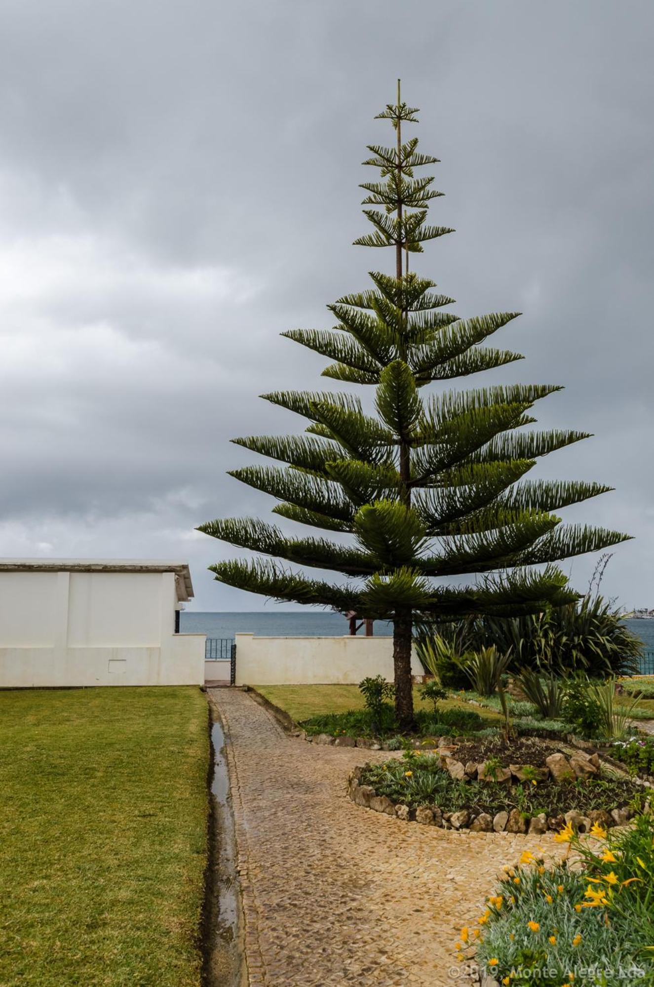 Casa do Tamariz, XIX century Beach House view 5