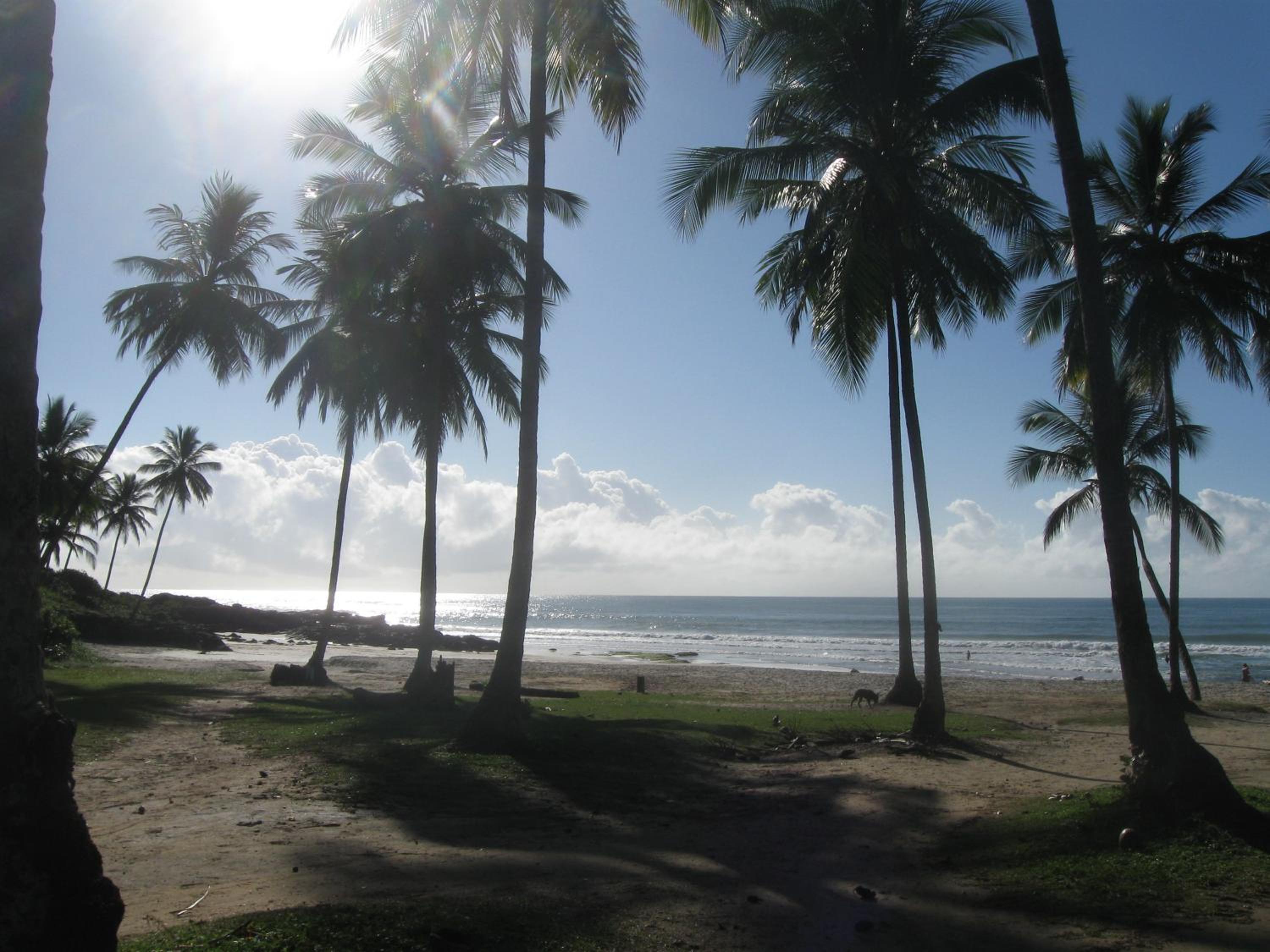 Linda Surf House Apartamentos