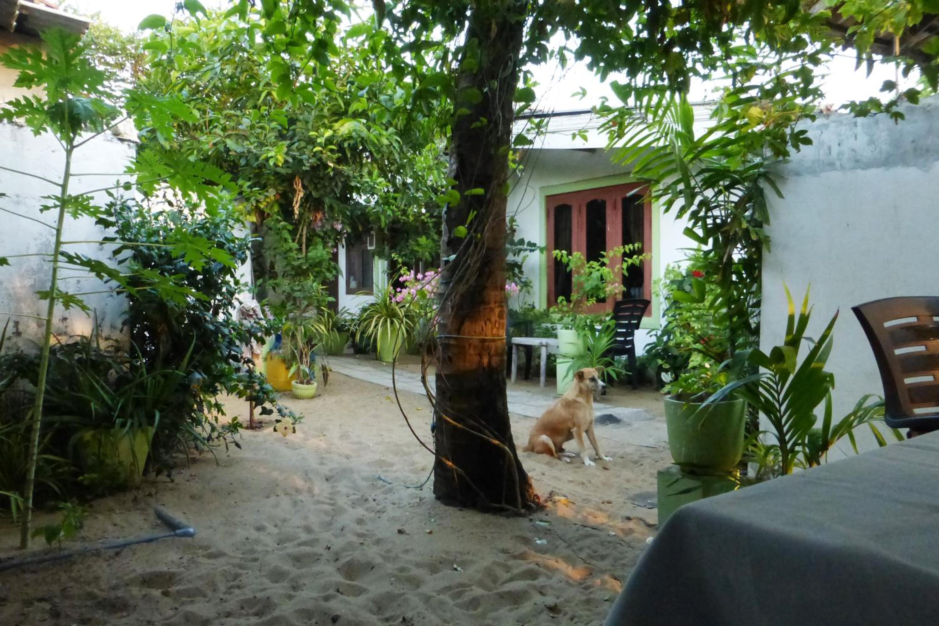 Photo 7