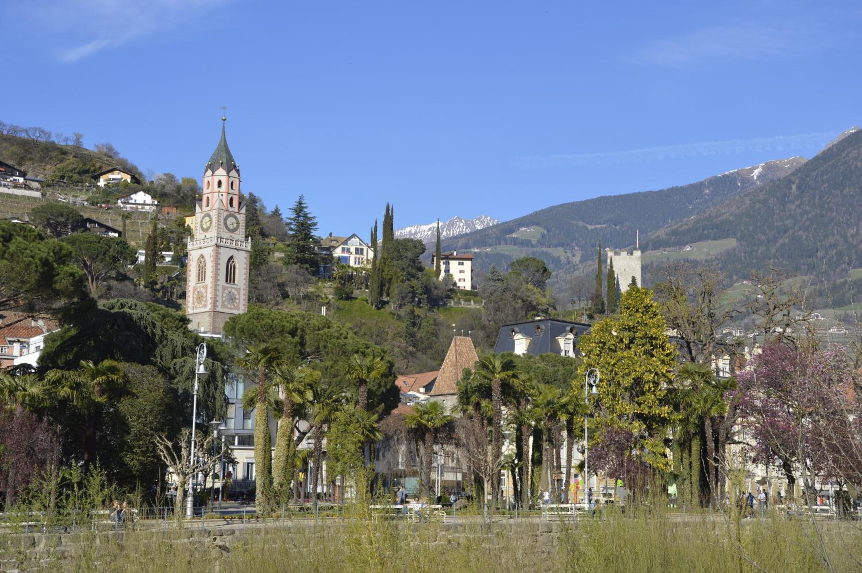 Appartment Trojer photo 5