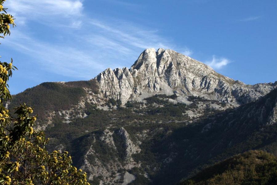 Photo 31