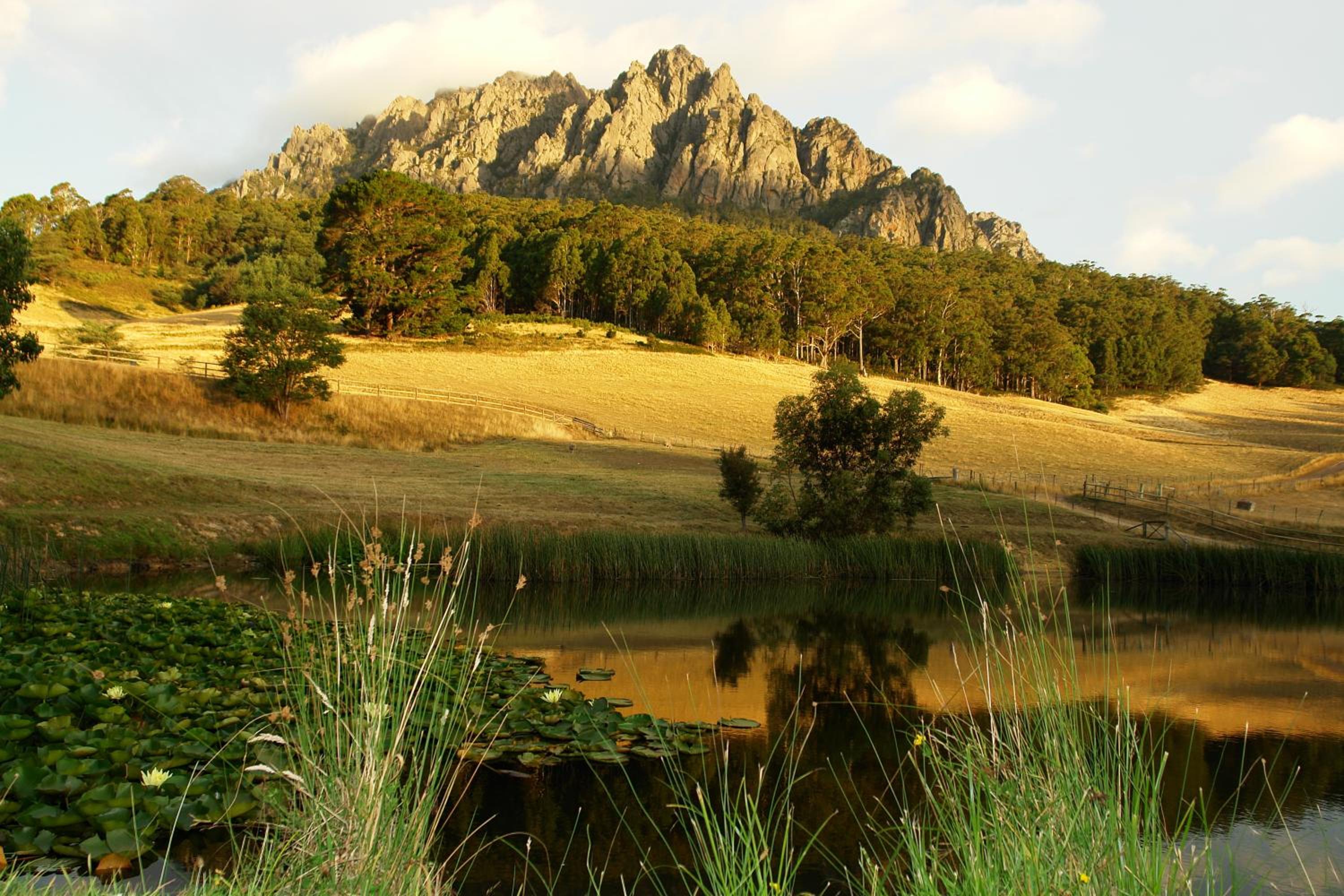 Silver Ridge Retreat