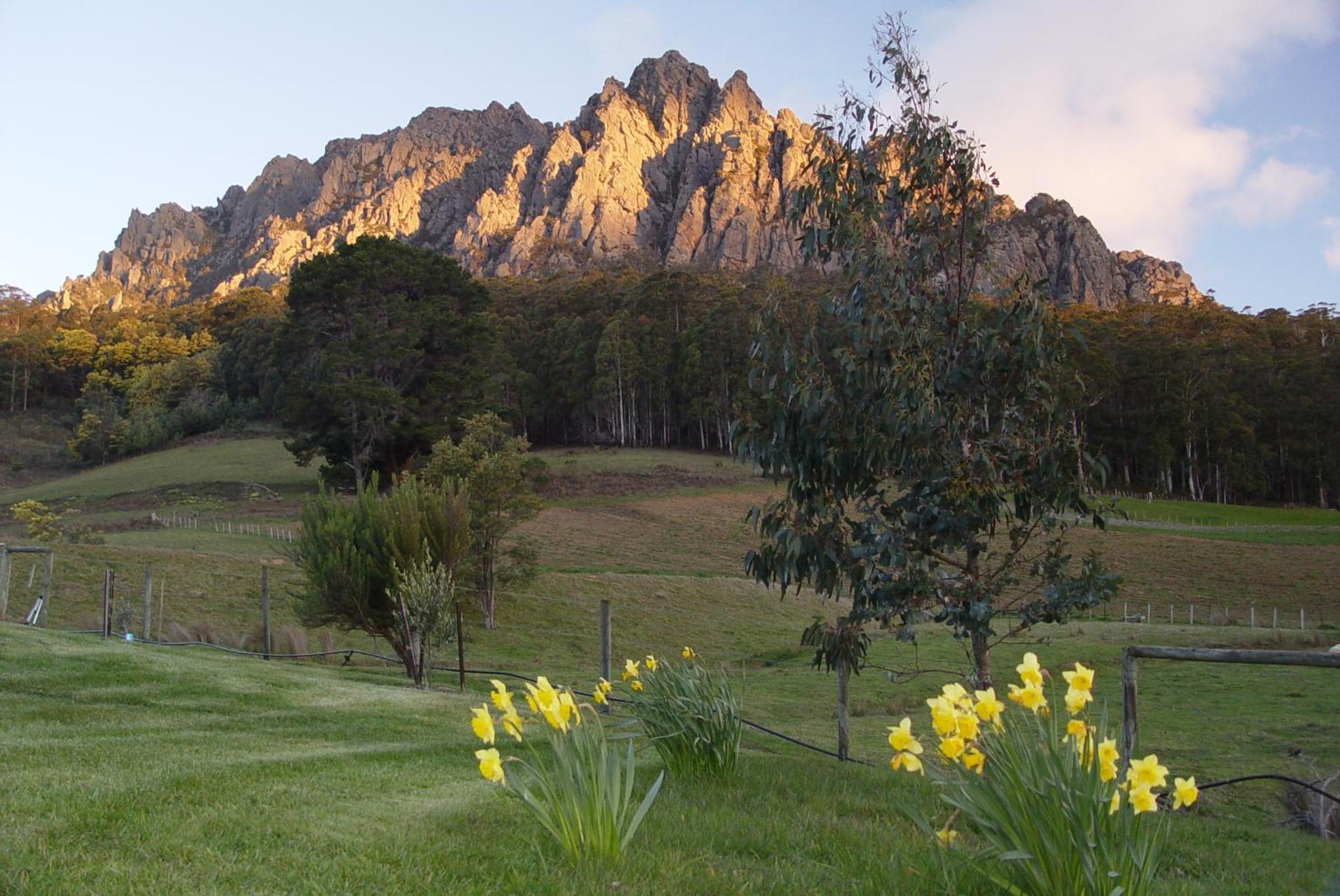 Silver Ridge Retreat