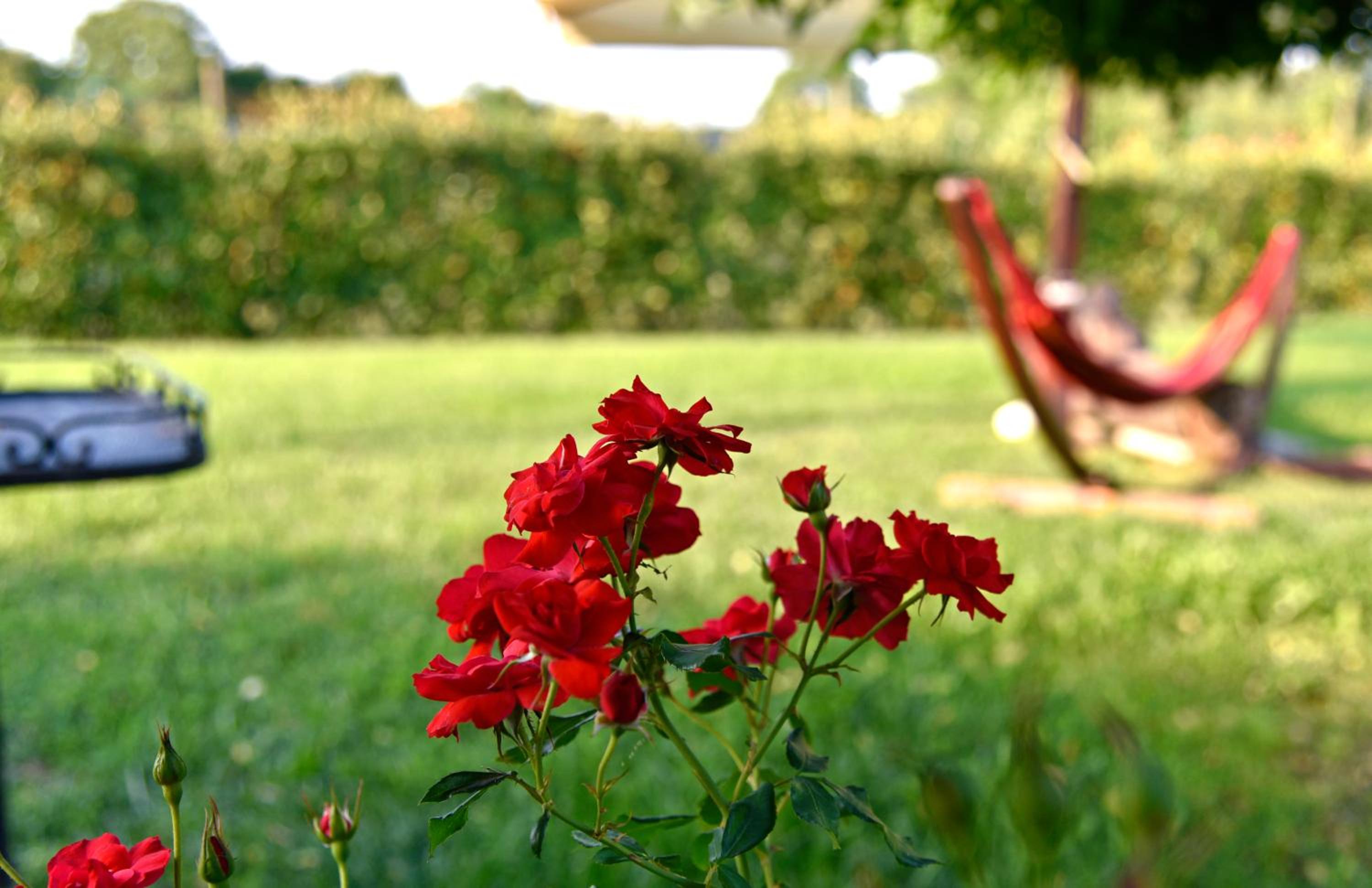 Agriturismo Argaland