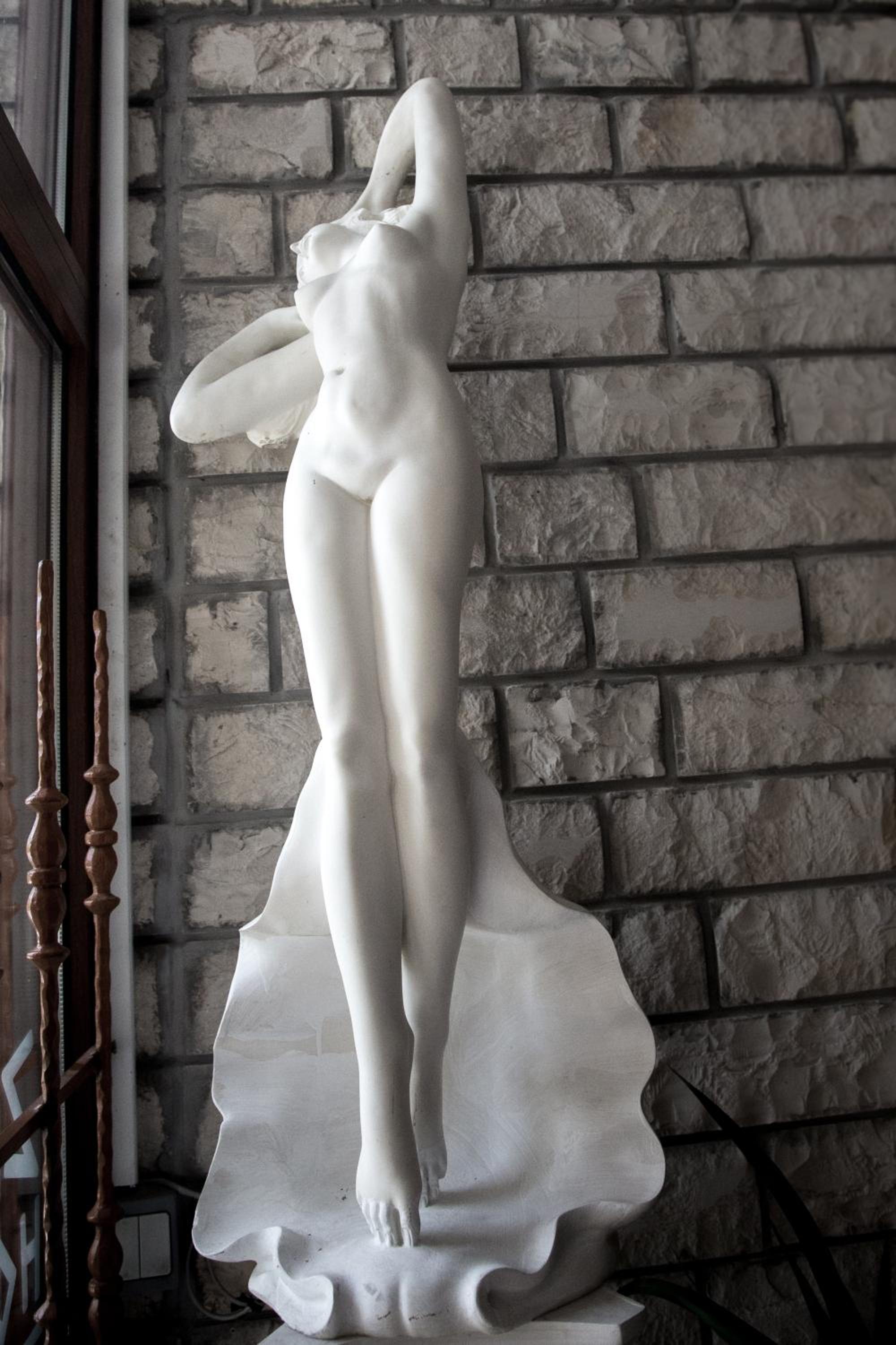 Photo 56