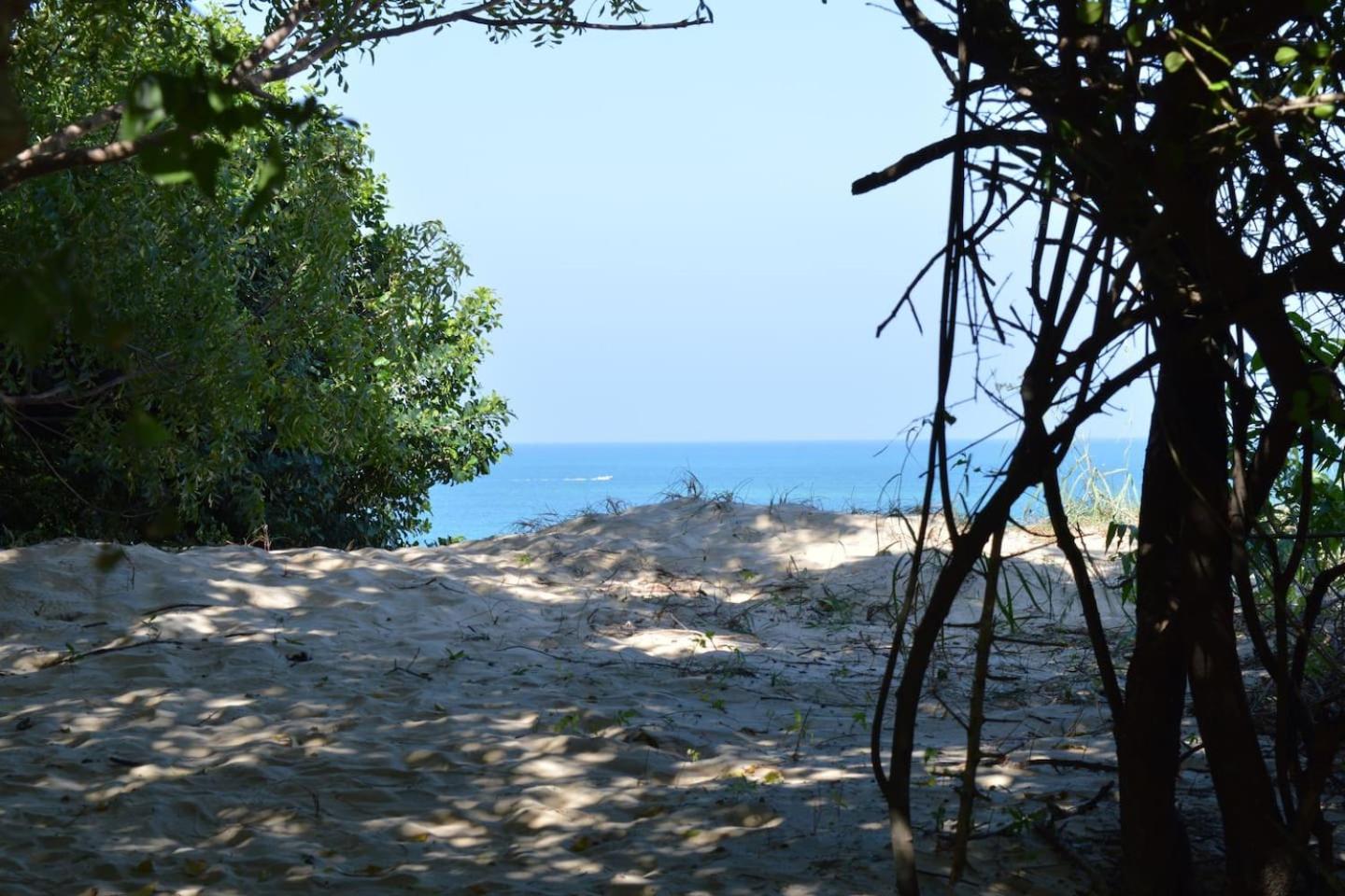 Photo 43