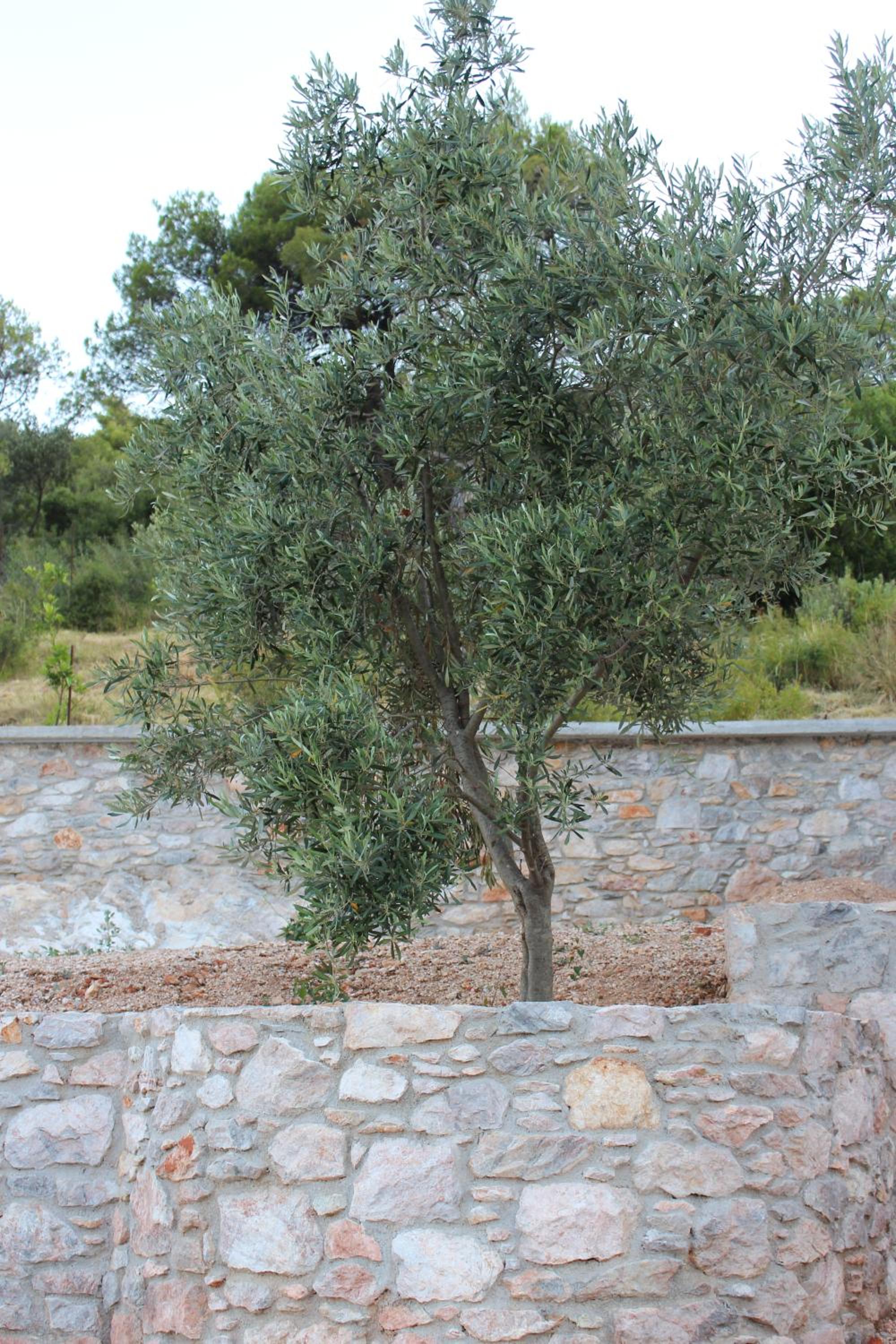 Photo 44