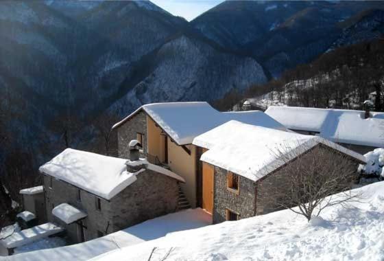 Photo 43