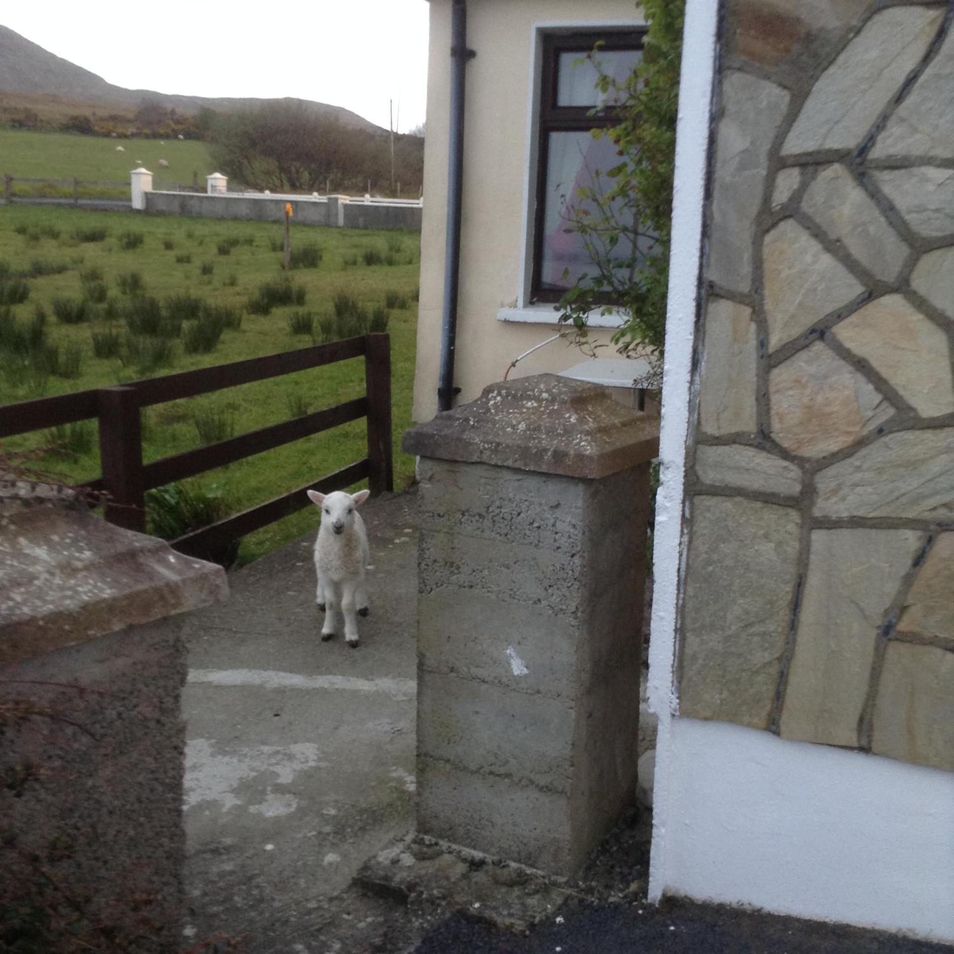 Sea View Chalet Kilsallagh Westport Co Mayo view 3