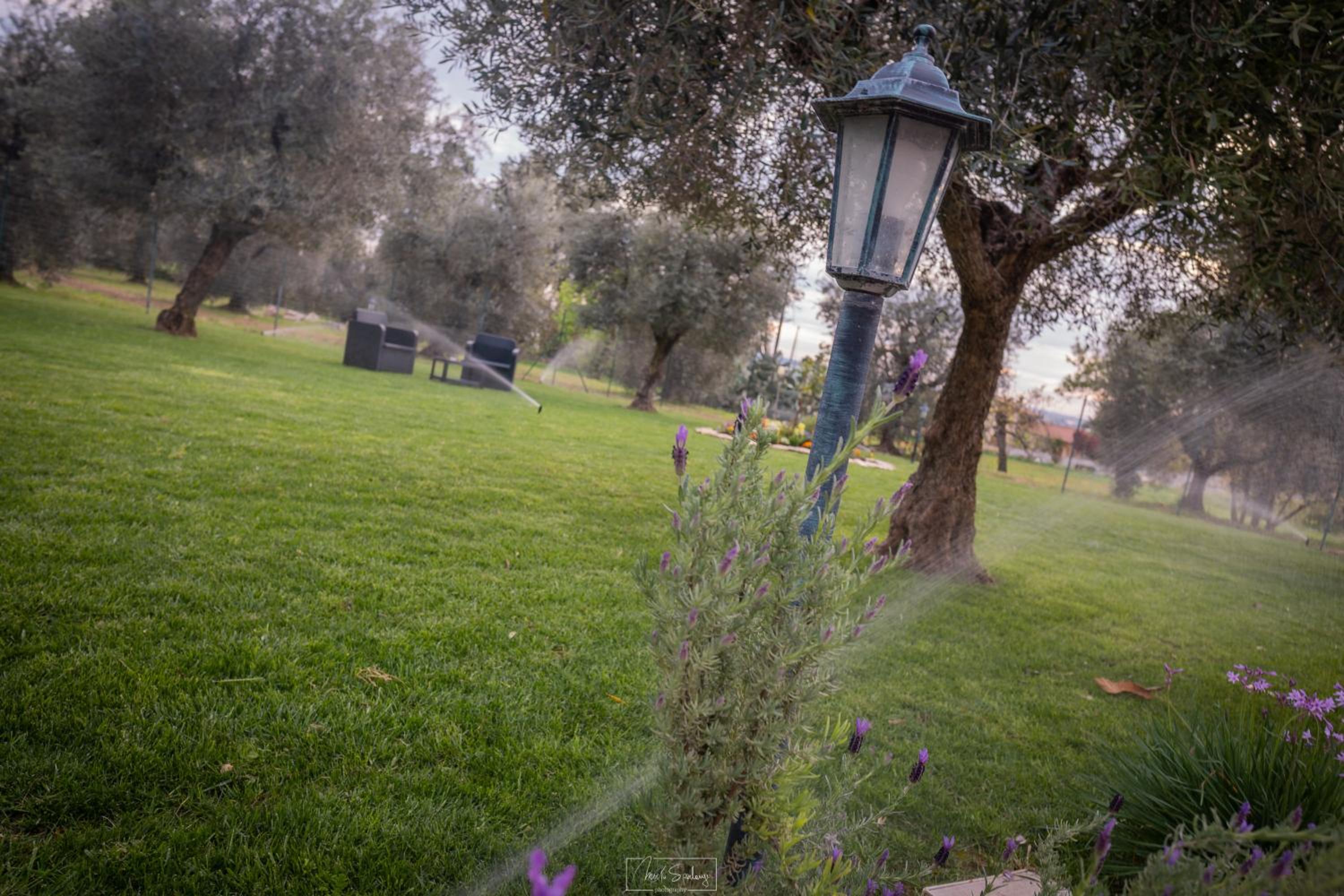 Photo 45