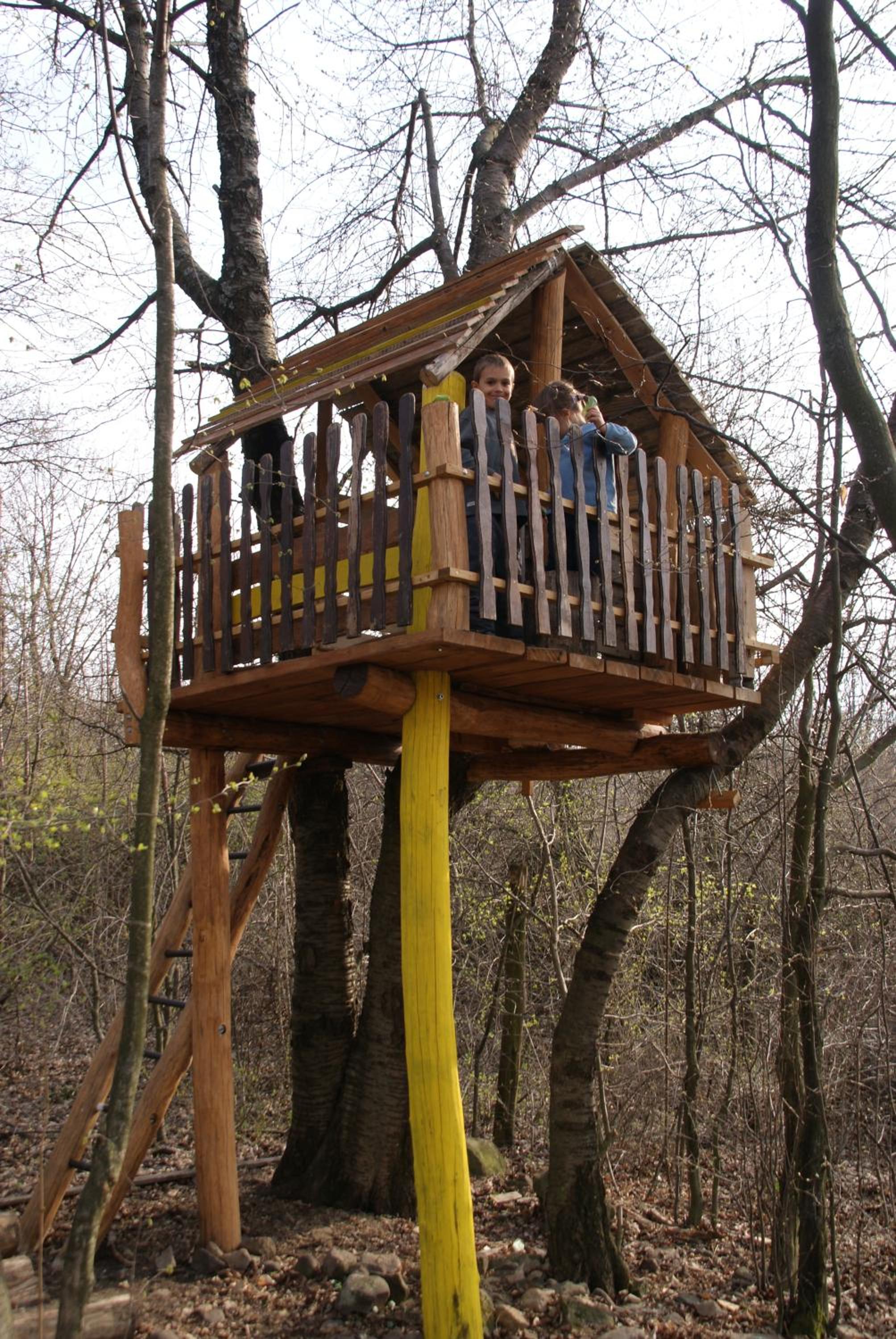 Photo 7