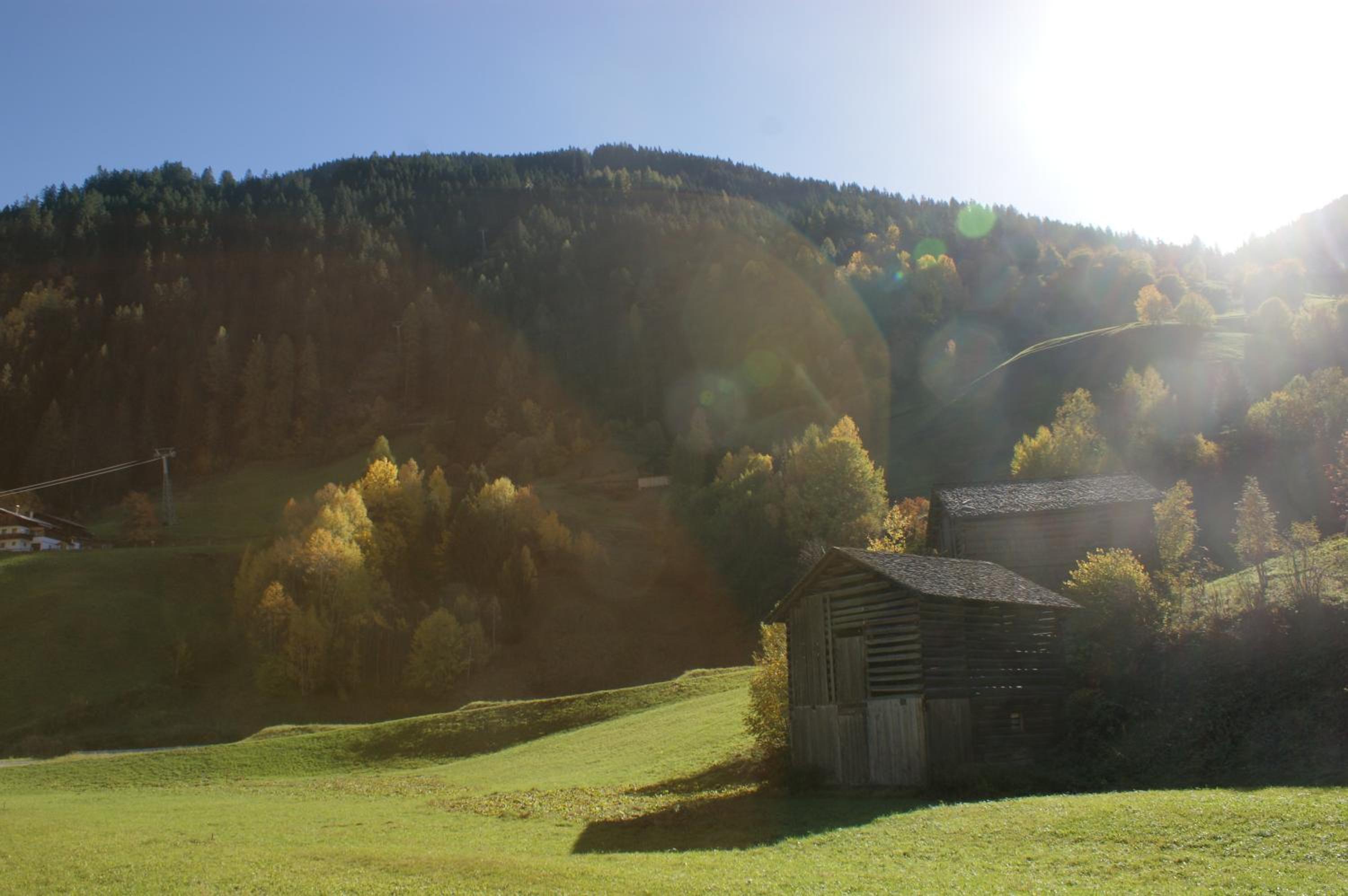 Apart Auhof
